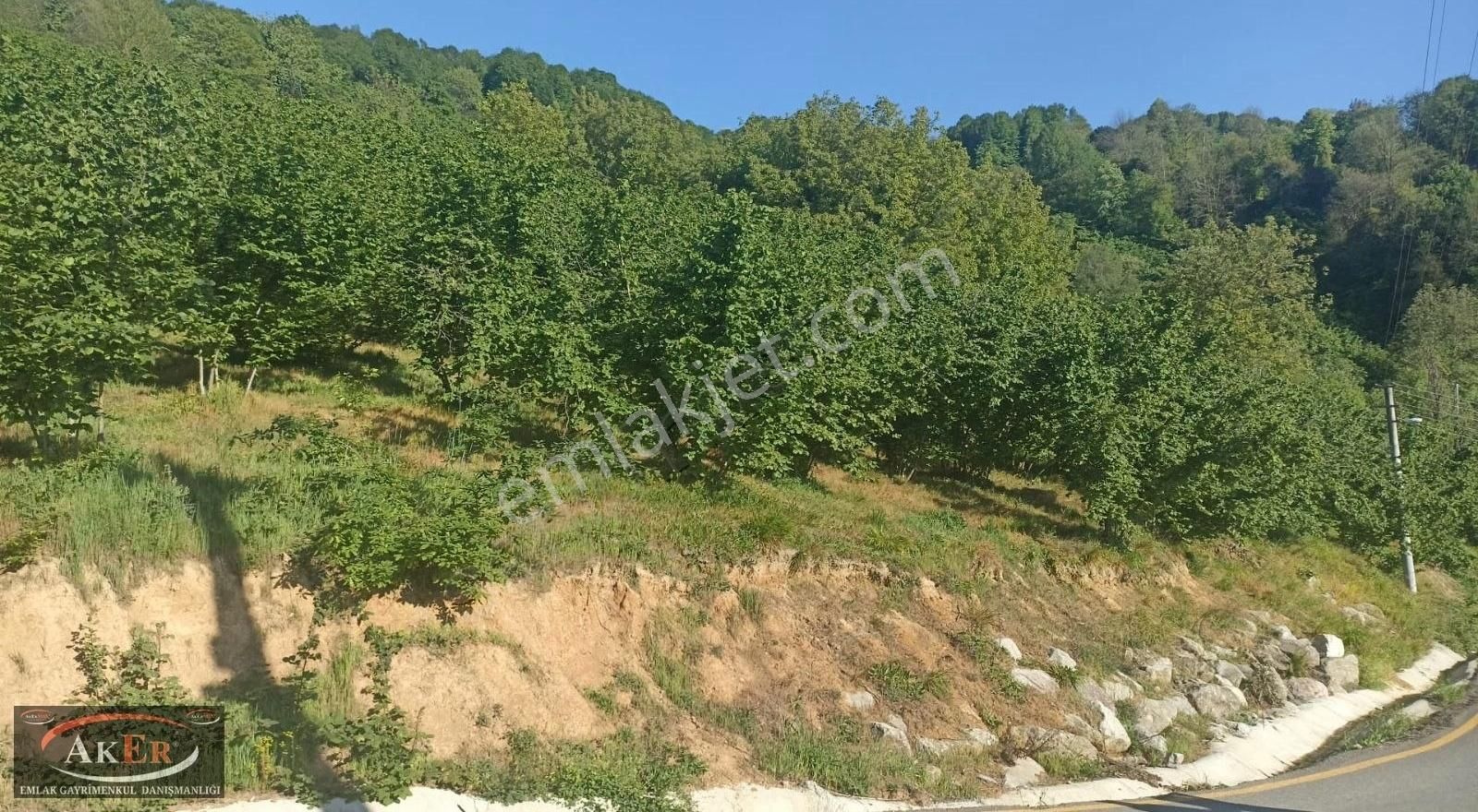 Yol Su Elektrik Var Köy İci - Görsel 4
