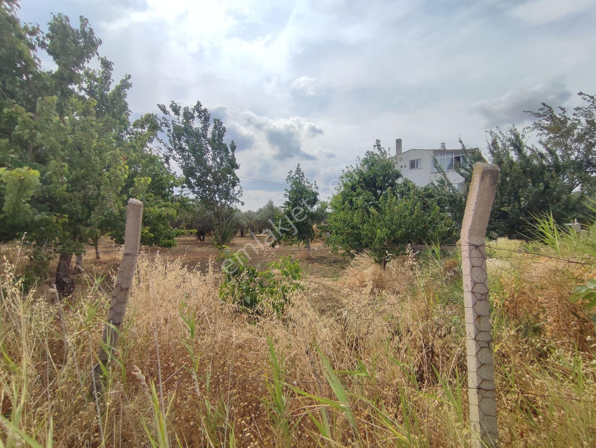 Bulut Yatırımdan 405 M² % 30 İmarlı Merkezi Konumda Denize Yakın Köşe Parsel Arsa - Görsel 15