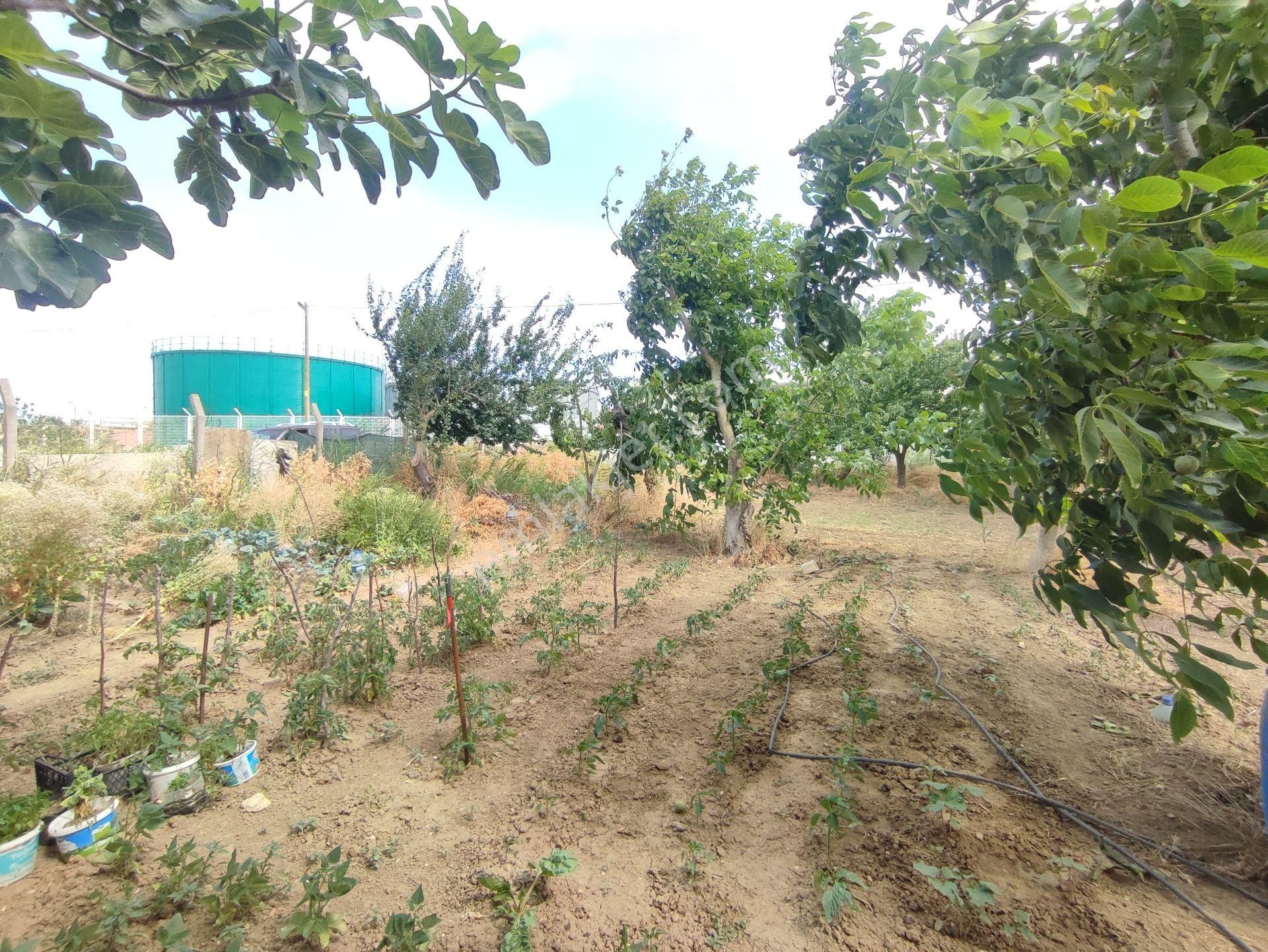 Bulut Yatırımdan 405 M² % 30 İmarlı Merkezi Konumda Denize Yakın Köşe Parsel Arsa - Görsel 6
