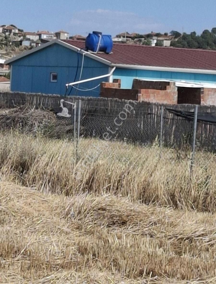 Foça Gerenköyde 438 M2 Kupon Bahçe Satılıktır