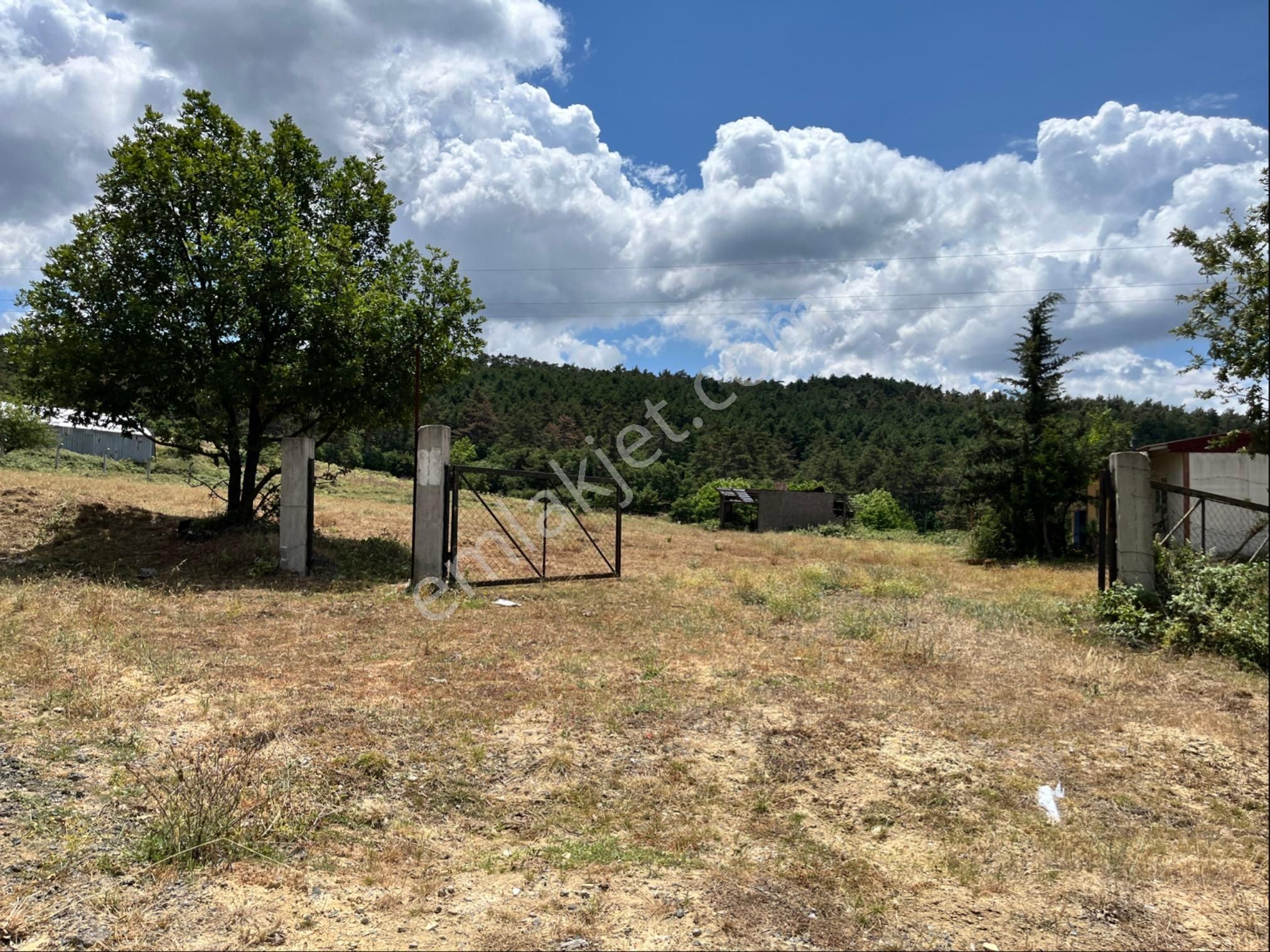 Asfalt Yol Üzerinde Özel Konumlu Arazi - Görsel 4