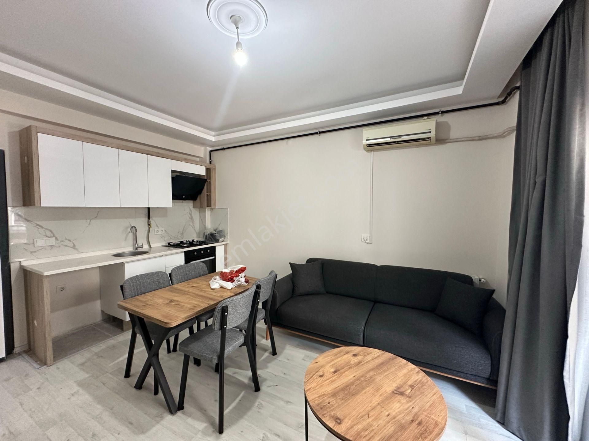 Seyrek Bakırçay Üniversitesi Yakını 1+1 Ful Eşyalı Kiralık Daire