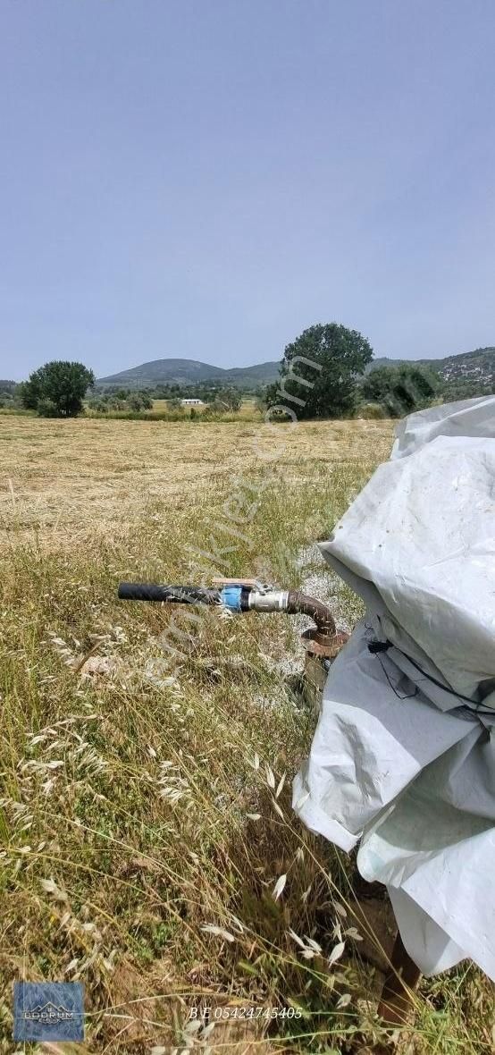 Kuzyaka Otel Yanı Elektrikvesuvar 5.780m2 Tarla - Görsel 7