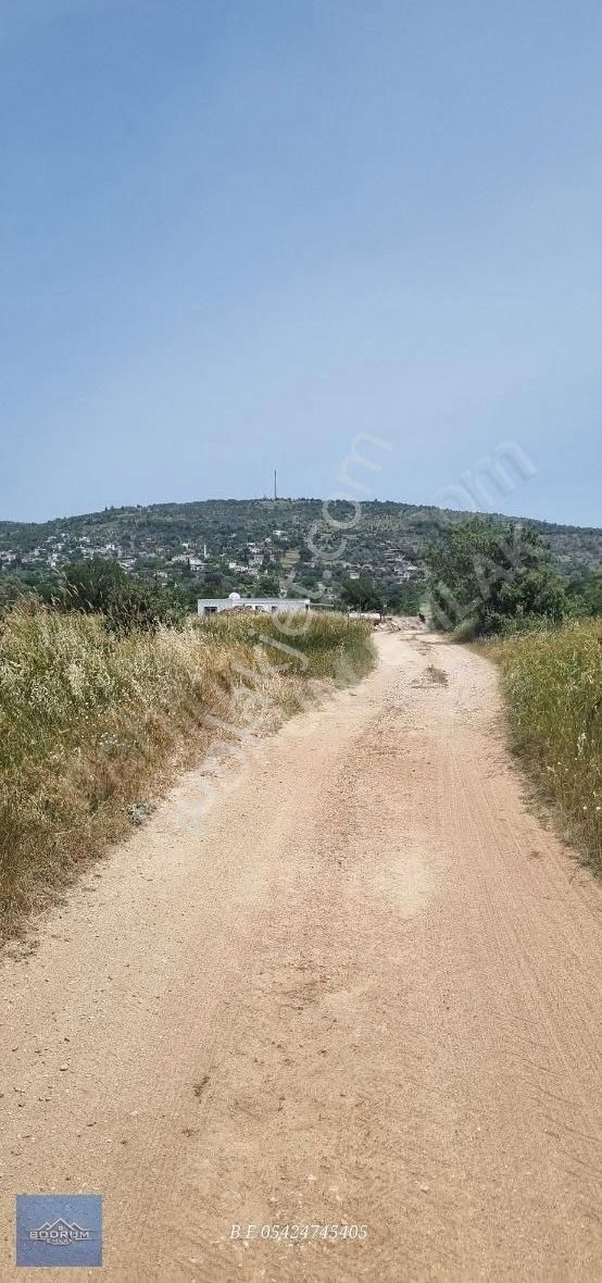 Kuzyaka Otel Yanı Elektrikvesuvar 5.780m2 Tarla