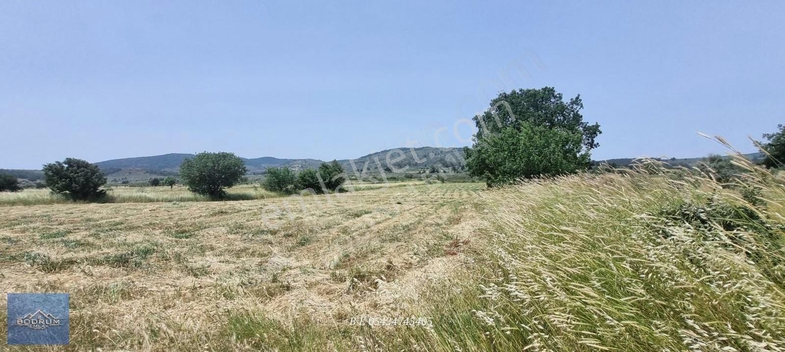 Kuzyaka Otel Yanı Elektrikvesuvar 5.780m2 Tarla - Görsel 3