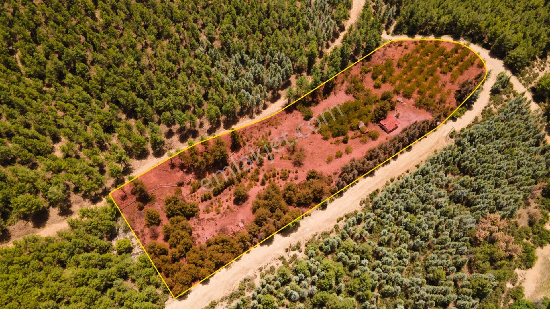 Burdur Bucak'ta Tek Tapulu İmar Sınırında 10.507 M2 Satılık Arazi - Görsel 5