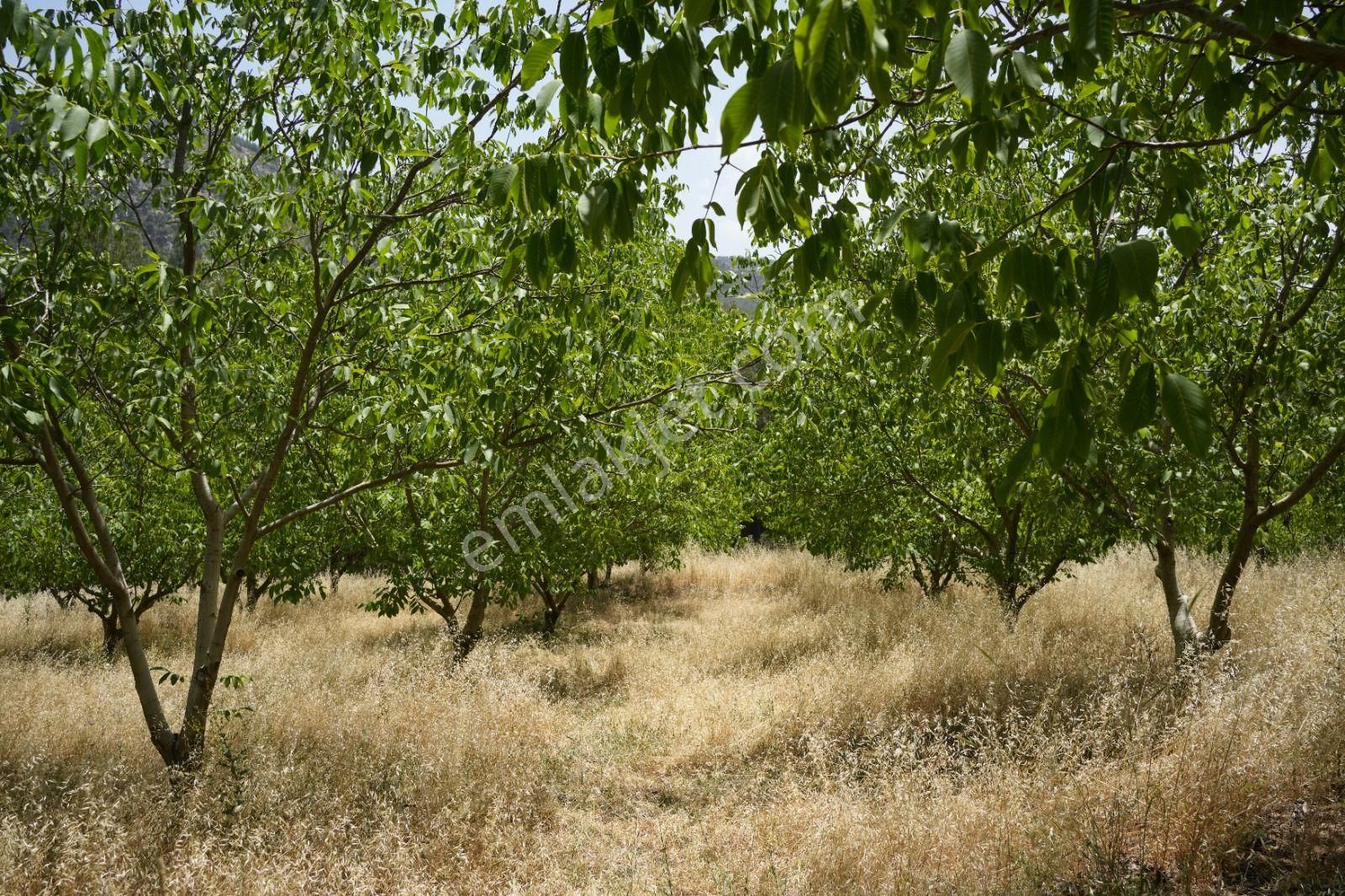 Burdur Bucak'ta Tek Tapulu İmar Sınırında 10.507 M2 Satılık Arazi - Görsel 19