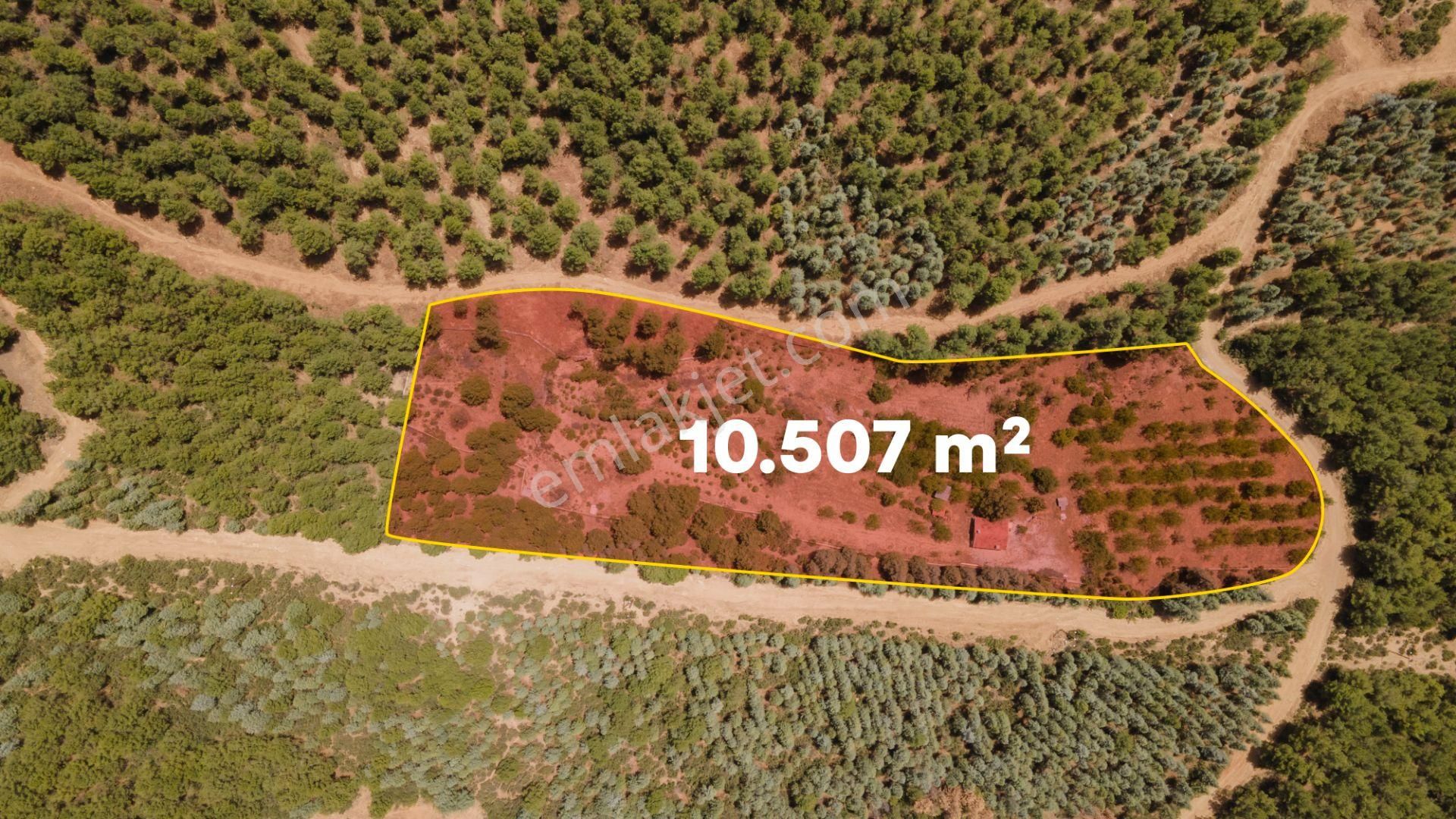 Burdur Bucak'ta Tek Tapulu İmar Sınırında 10.507 M2 Satılık Arazi - Görsel 3