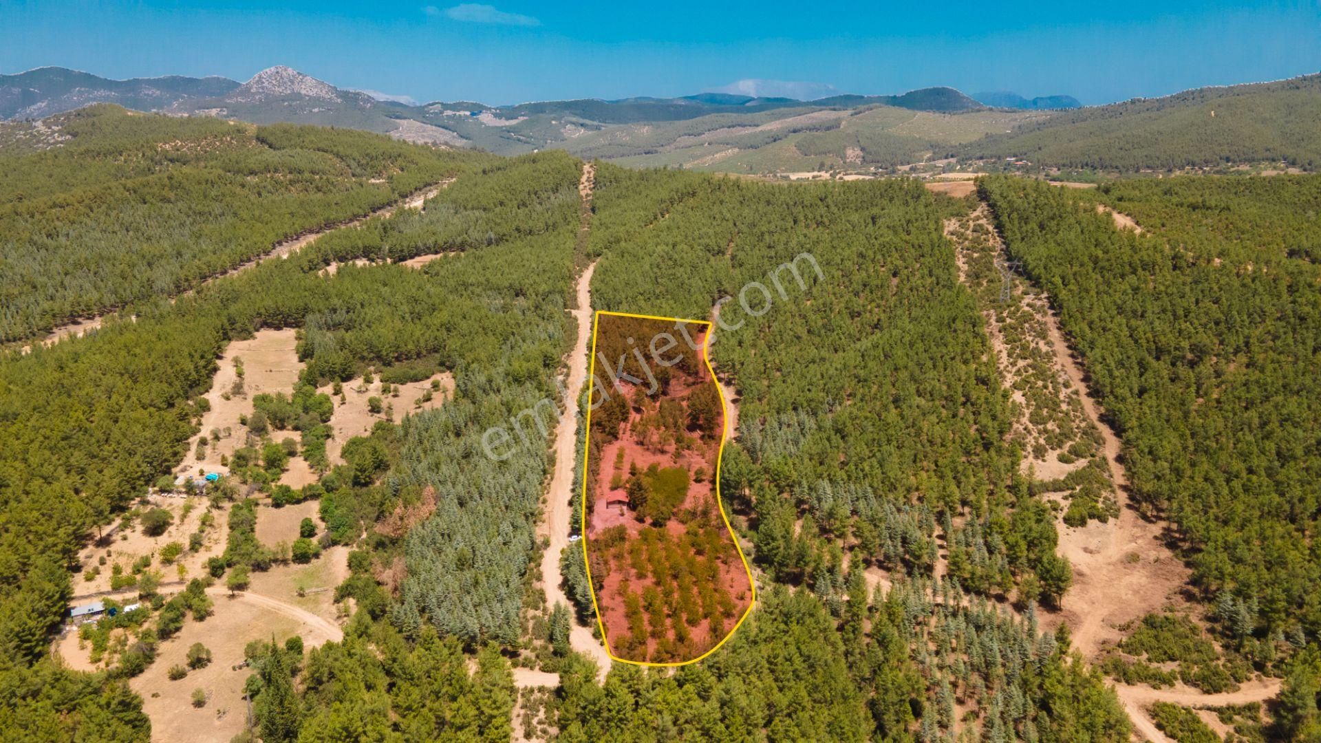 Burdur Bucak'ta Tek Tapulu İmar Sınırında 10.507 M2 Satılık Arazi - Görsel 6