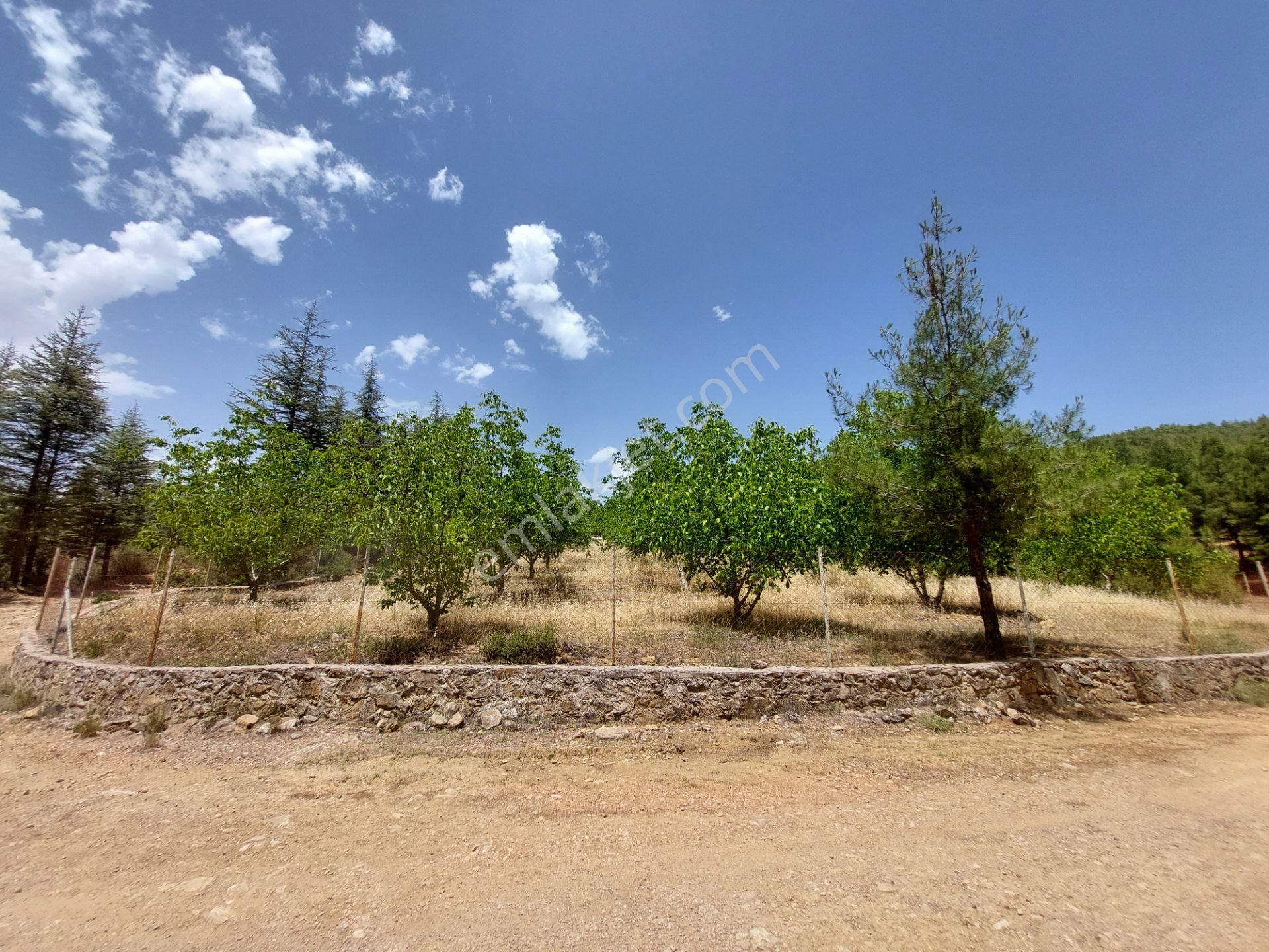 Burdur Bucak'ta Tek Tapulu İmar Sınırında 10.507 M2 Satılık Arazi - Görsel 21