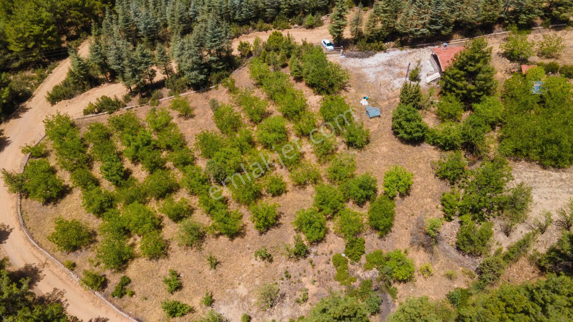 Burdur Bucak'ta Tek Tapulu İmar Sınırında 10.507 M2 Satılık Arazi - Görsel 9