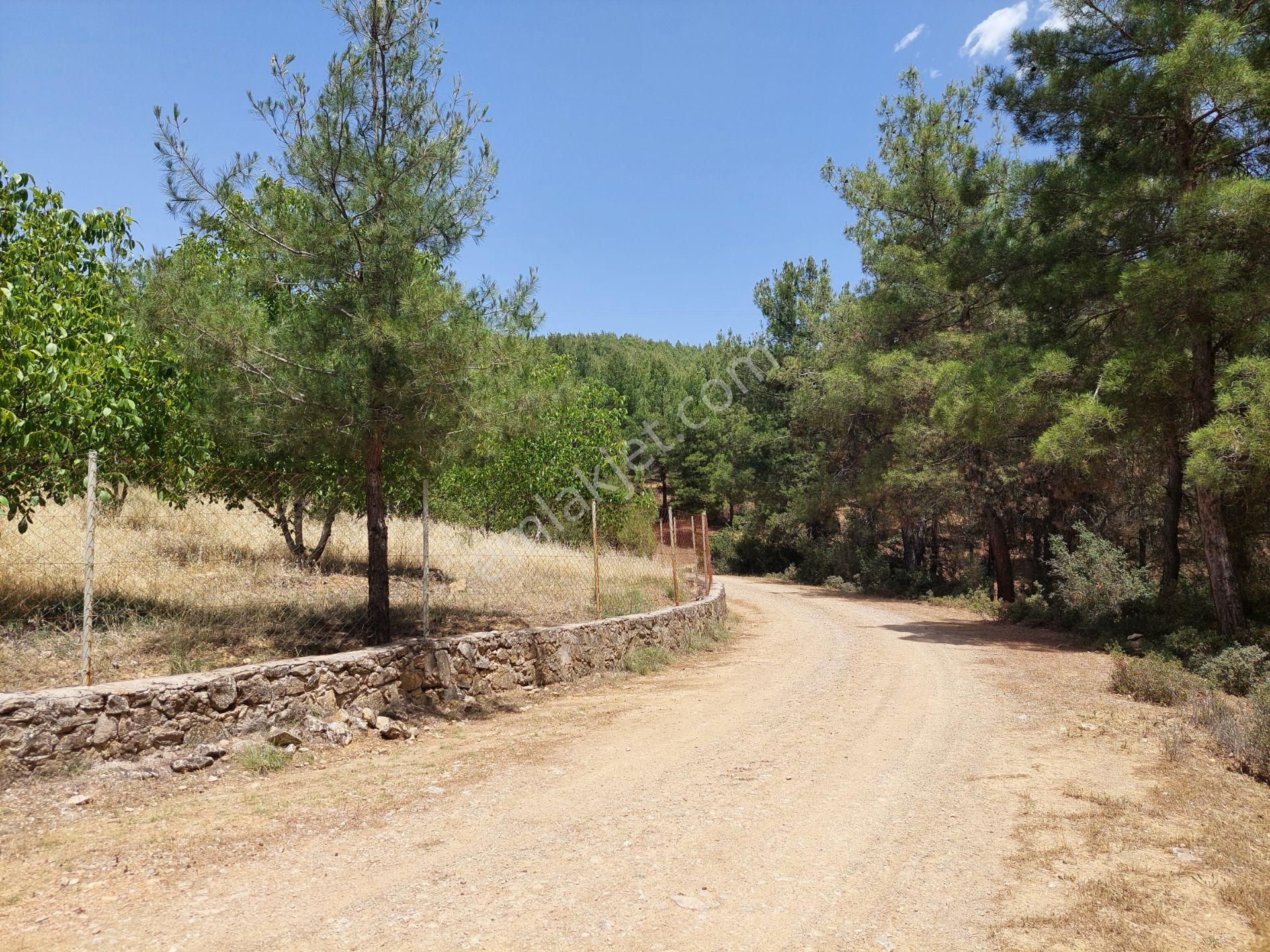 Burdur Bucak'ta Tek Tapulu İmar Sınırında 10.507 M2 Satılık Arazi - Görsel 22