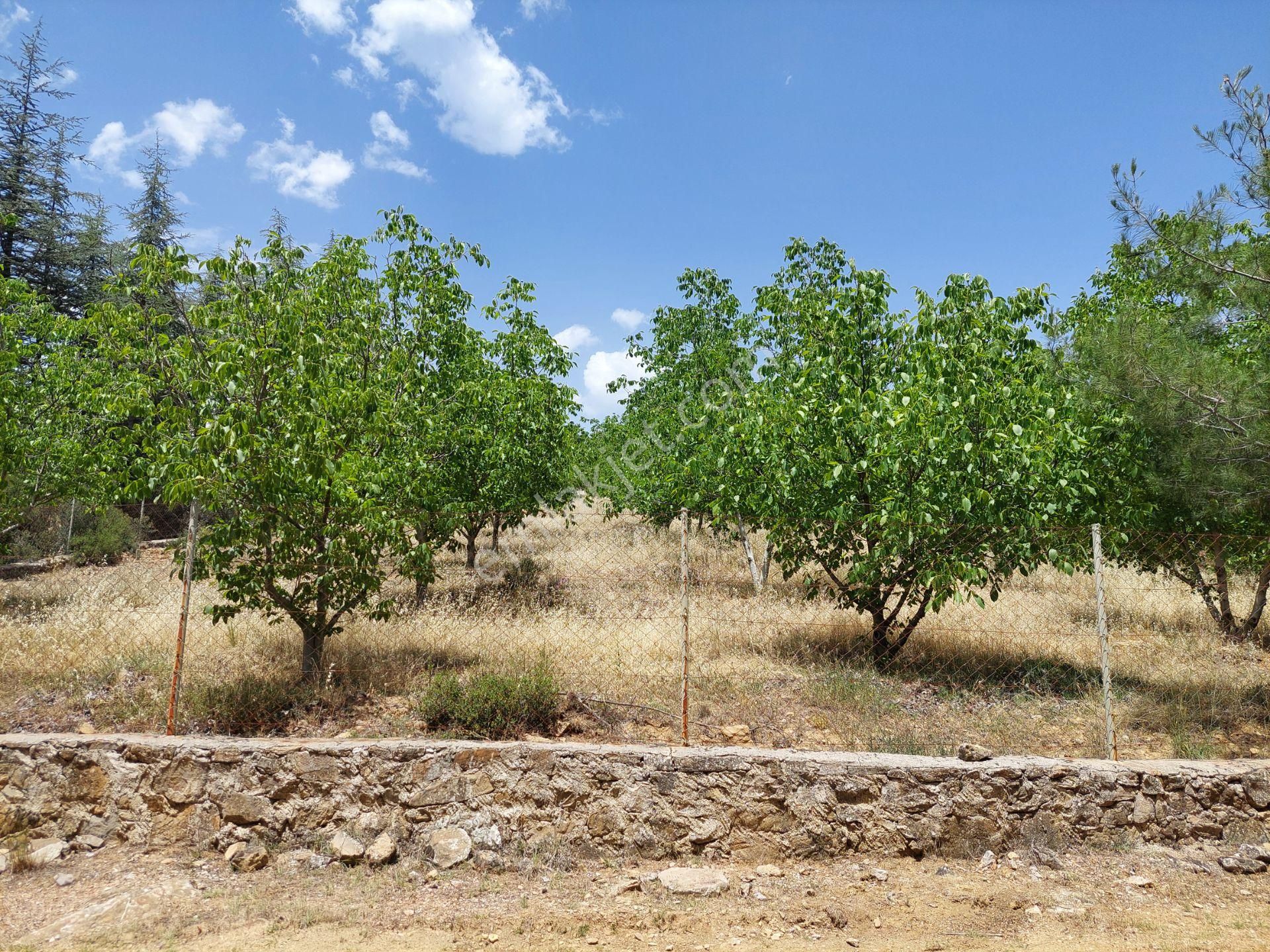 Burdur Bucak'ta Tek Tapulu İmar Sınırında 10.507 M2 Satılık Arazi - Görsel 20
