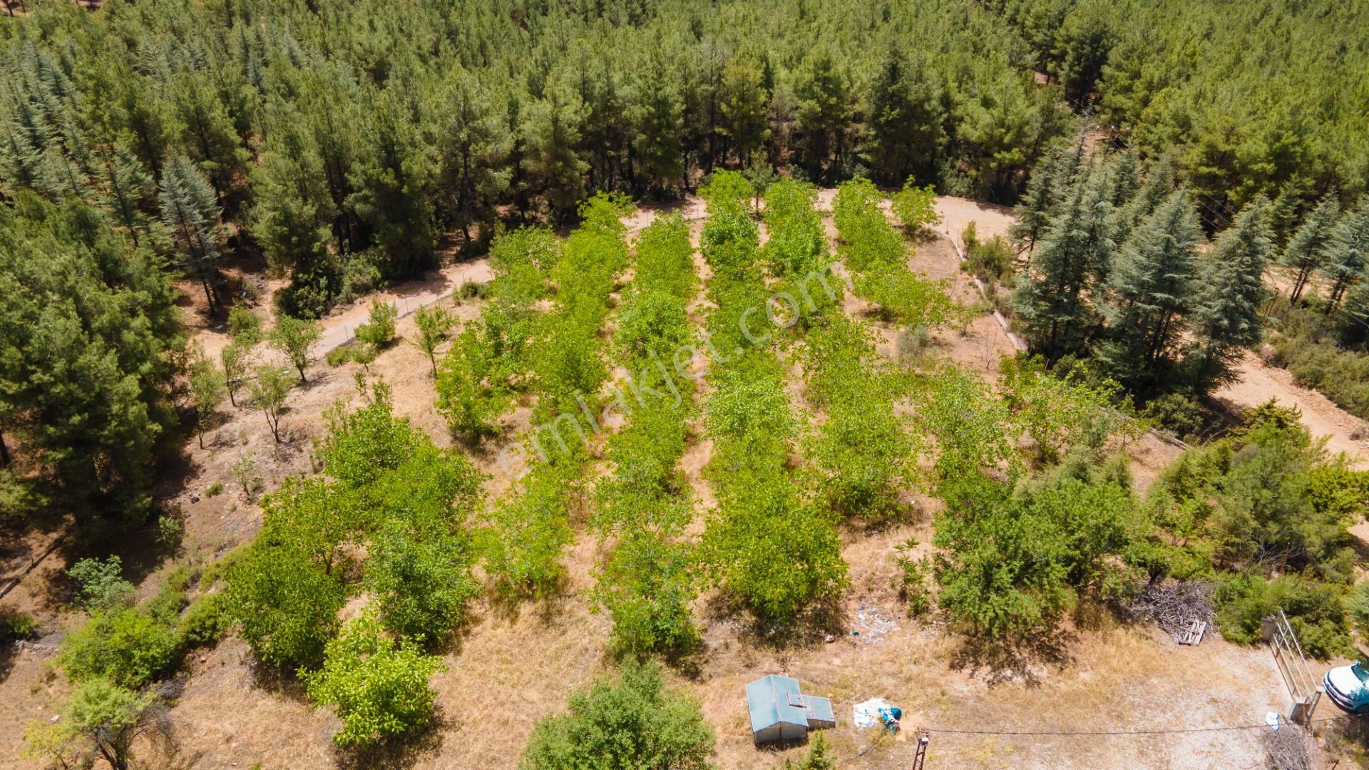 Burdur Bucak'ta Tek Tapulu İmar Sınırında 10.507 M2 Satılık Arazi - Görsel 8