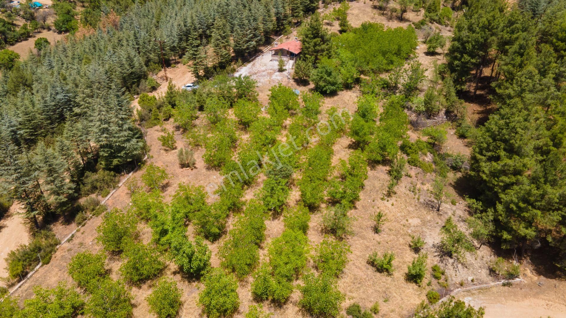 Burdur Bucak'ta Tek Tapulu İmar Sınırında 10.507 M2 Satılık Arazi - Görsel 2