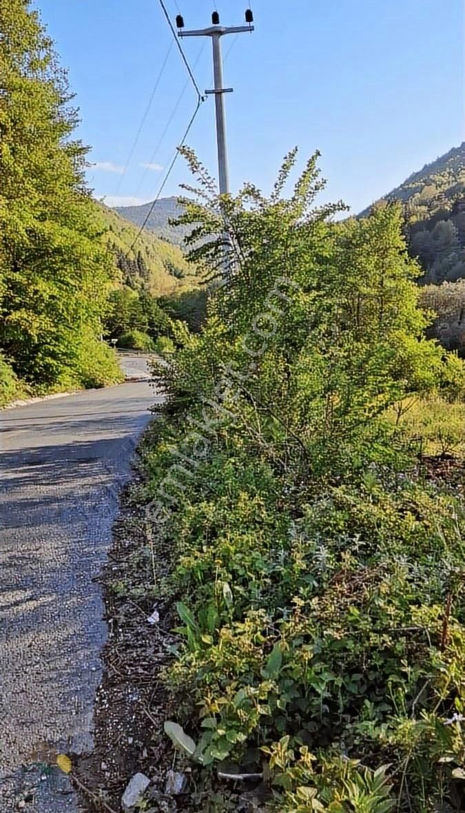 Sakarya Pamukova Gonca Mahallesi'nde 880 M2 Bungalov,luk Arazi