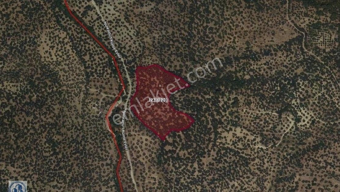 Küçükkuyu Nusratlı Köyünde Deniz Manzaralı 15.295m2. Zeytinlik