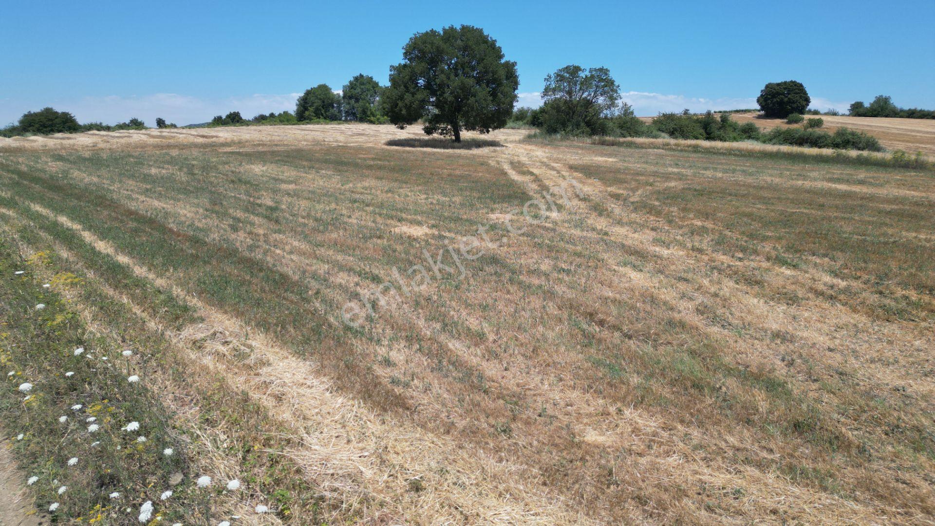 Kocaeli Karamürsel Yalakdere Satılık Tarla 5612 M2 - Görsel 11