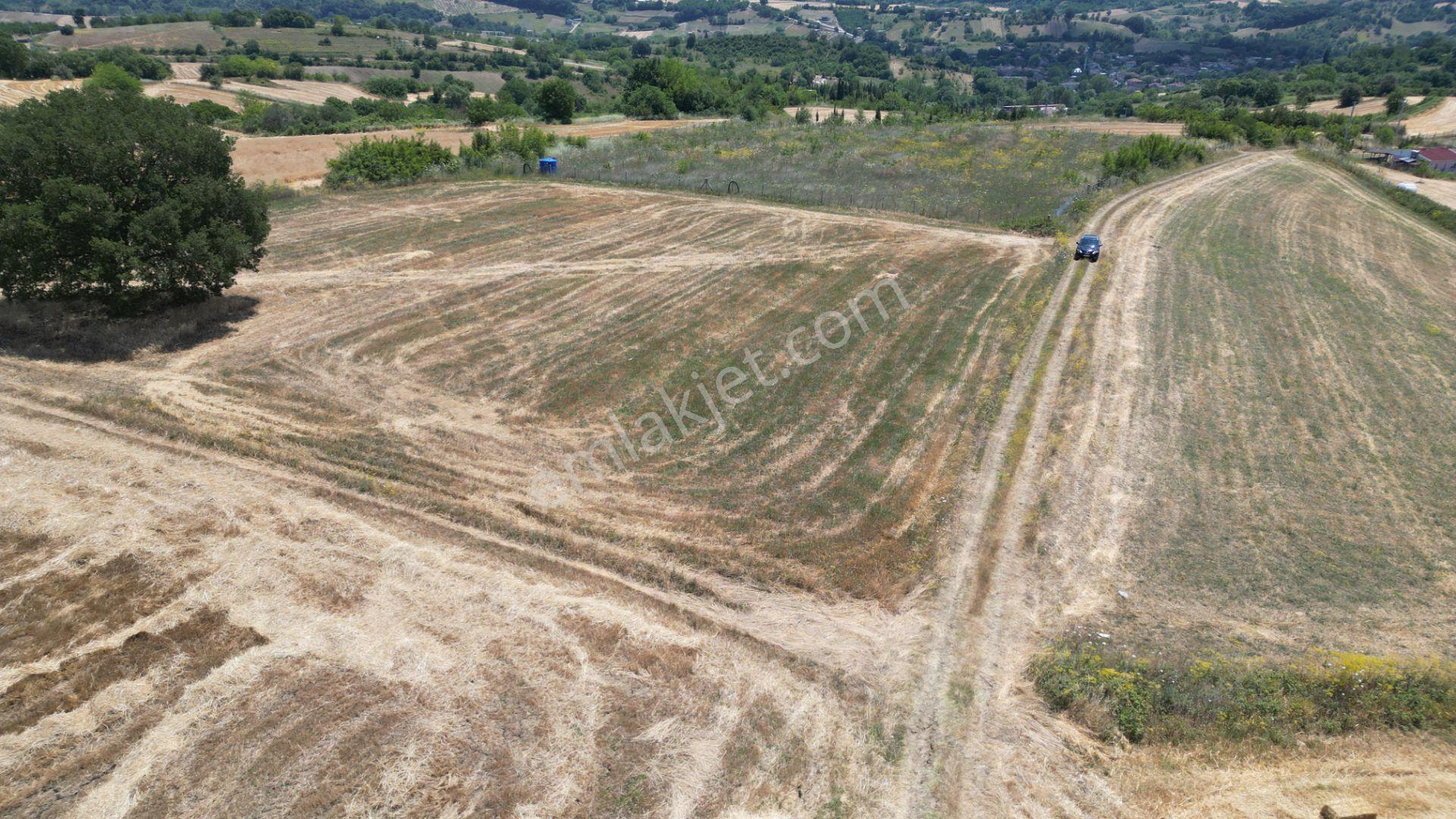 Kocaeli Karamürsel Yalakdere Satılık Tarla 5612 M2 - Görsel 5