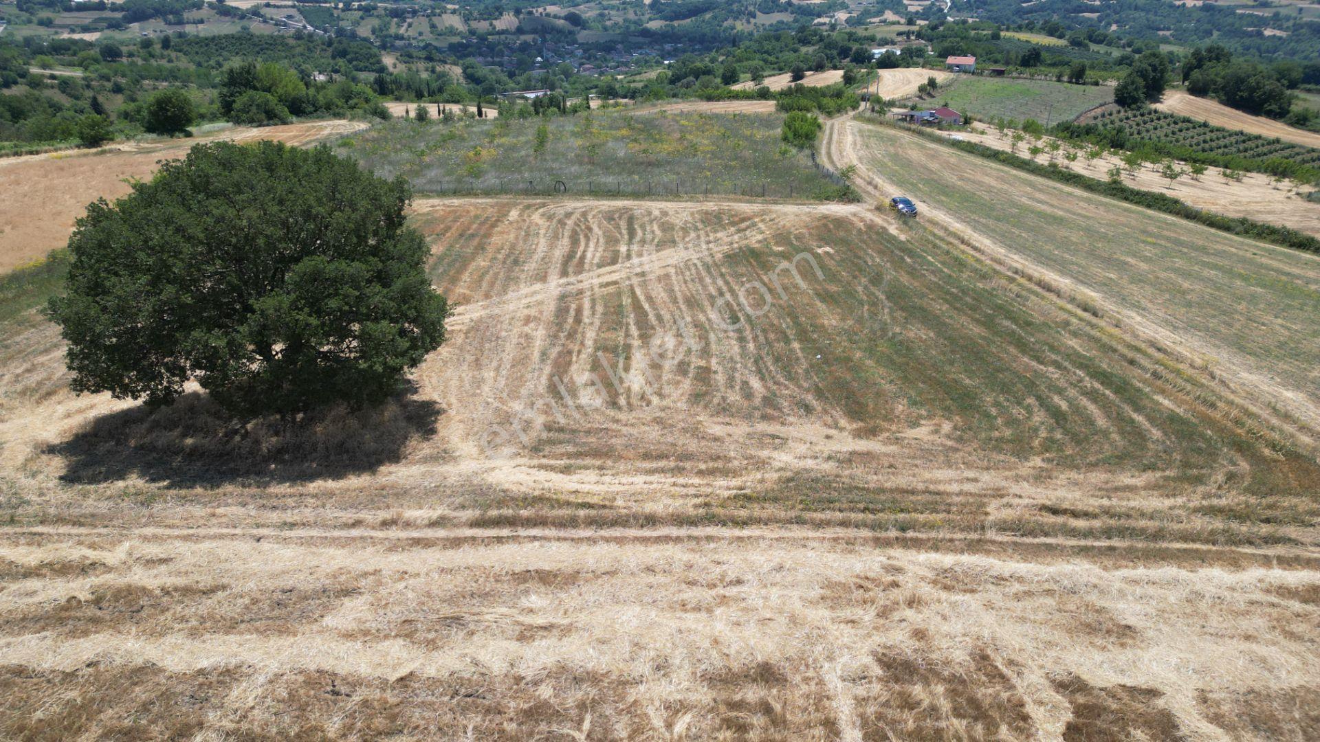 Kocaeli Karamürsel Yalakdere Satılık Tarla 5612 M2 - Görsel 6
