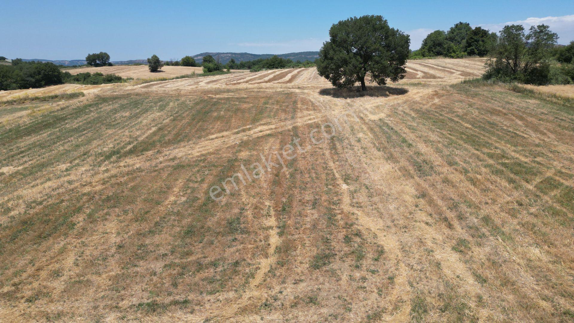 Kocaeli Karamürsel Yalakdere Satılık Tarla 5612 M2 - Görsel 9