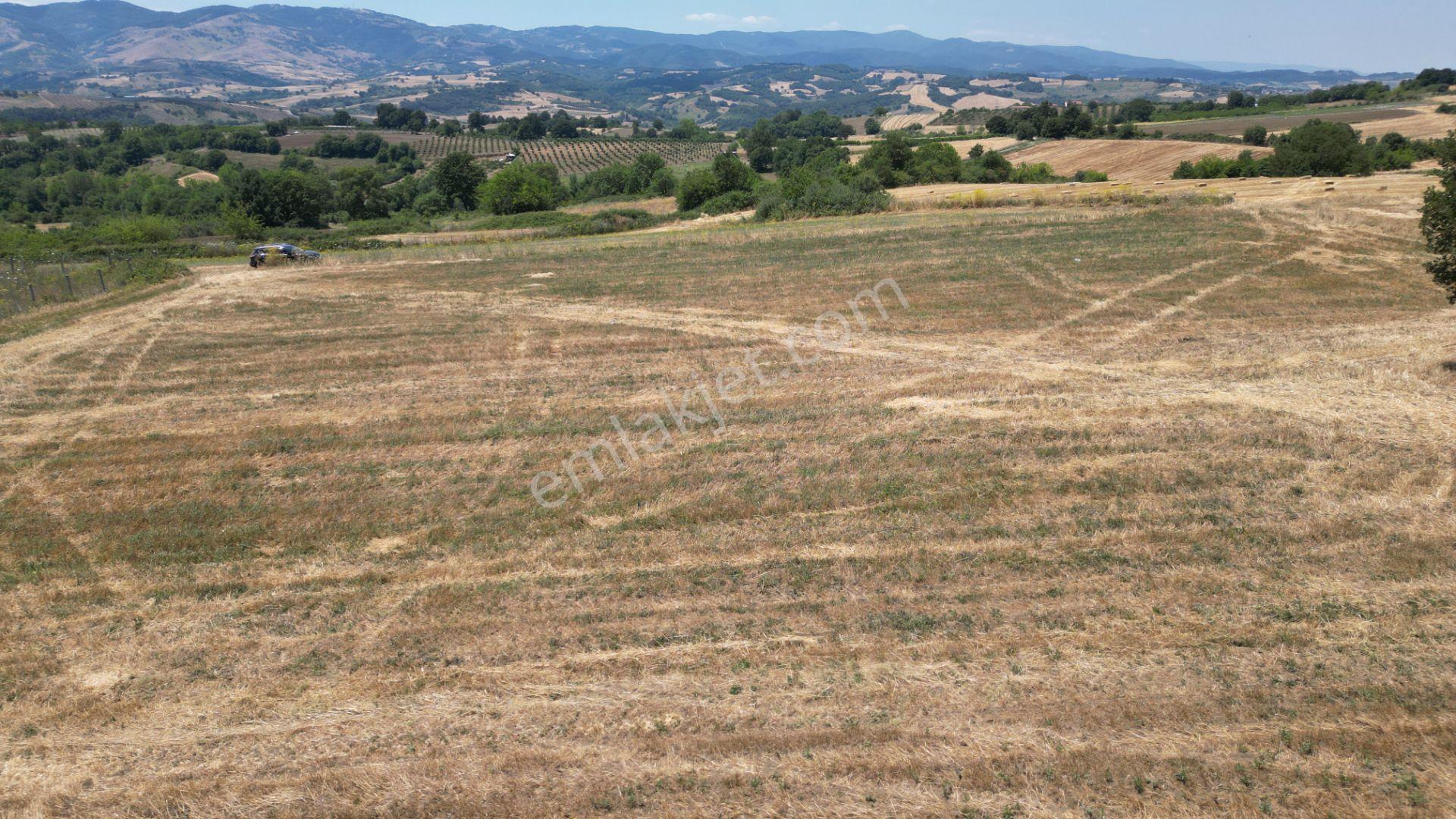 Kocaeli Karamürsel Yalakdere Satılık Tarla 5612 M2 - Görsel 8