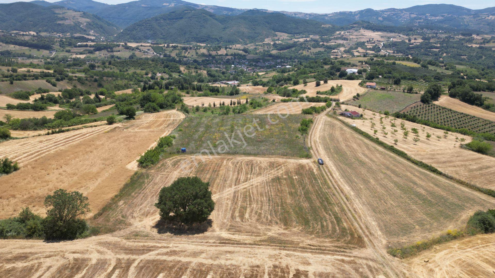 Kocaeli Karamürsel Yalakdere Satılık Tarla 5612 M2 - Görsel 4