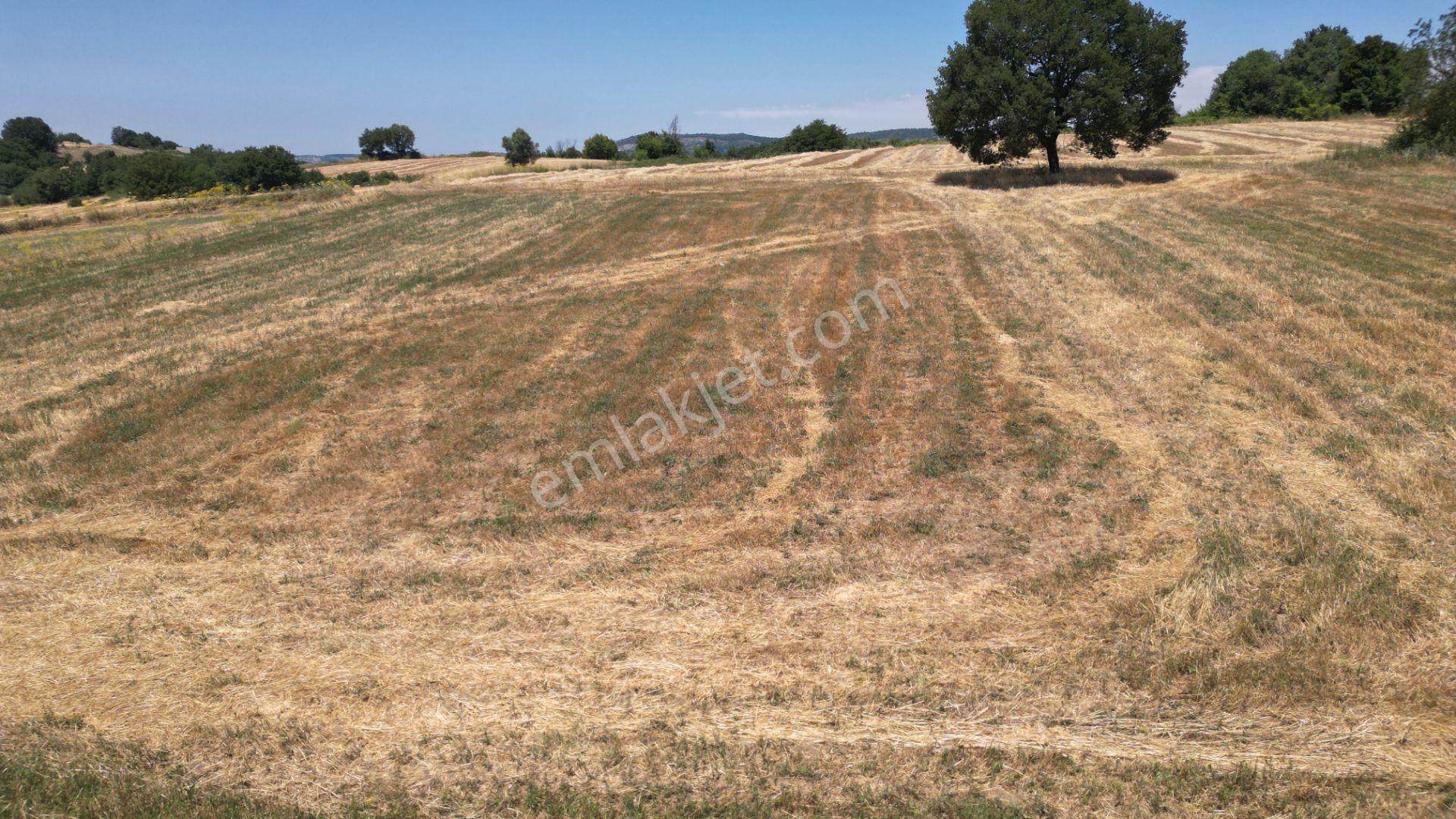 Kocaeli Karamürsel Yalakdere Satılık Tarla 5612 M2 - Görsel 10
