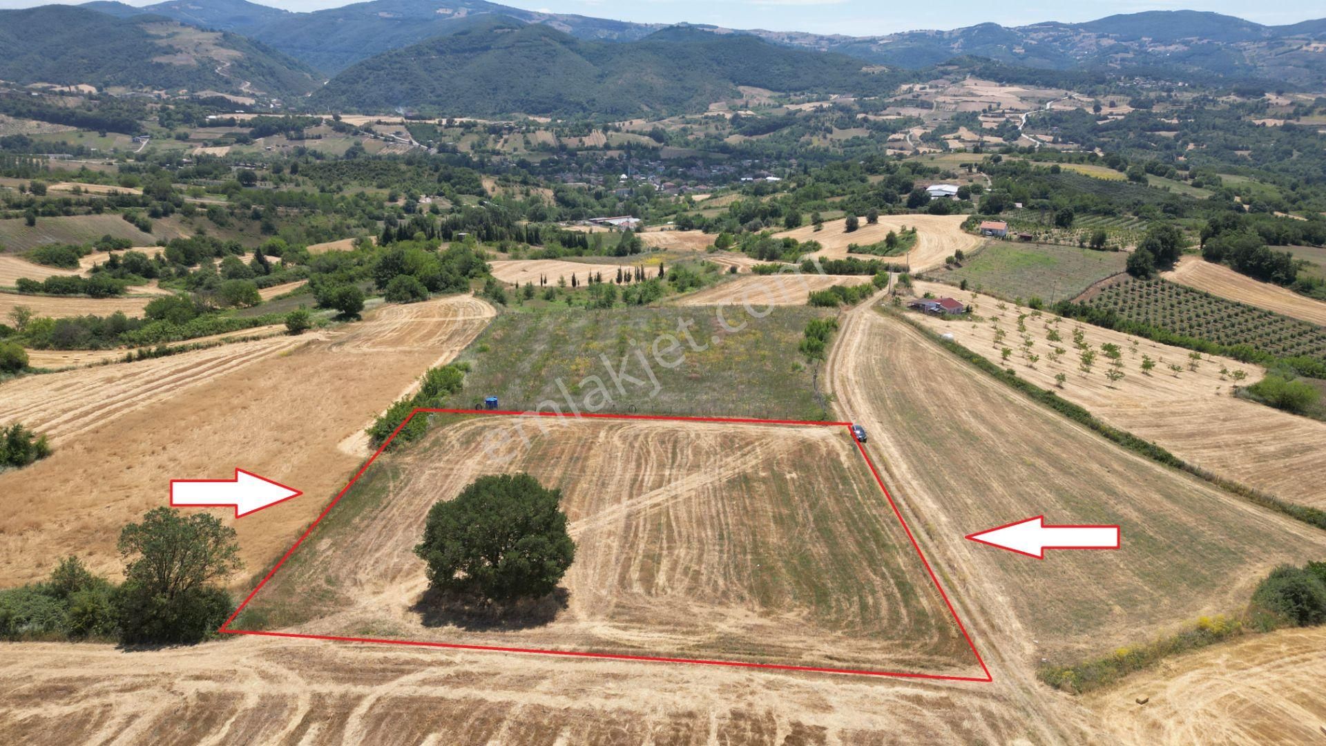 Kocaeli Karamürsel Yalakdere Satılık Tarla 5612 M2
