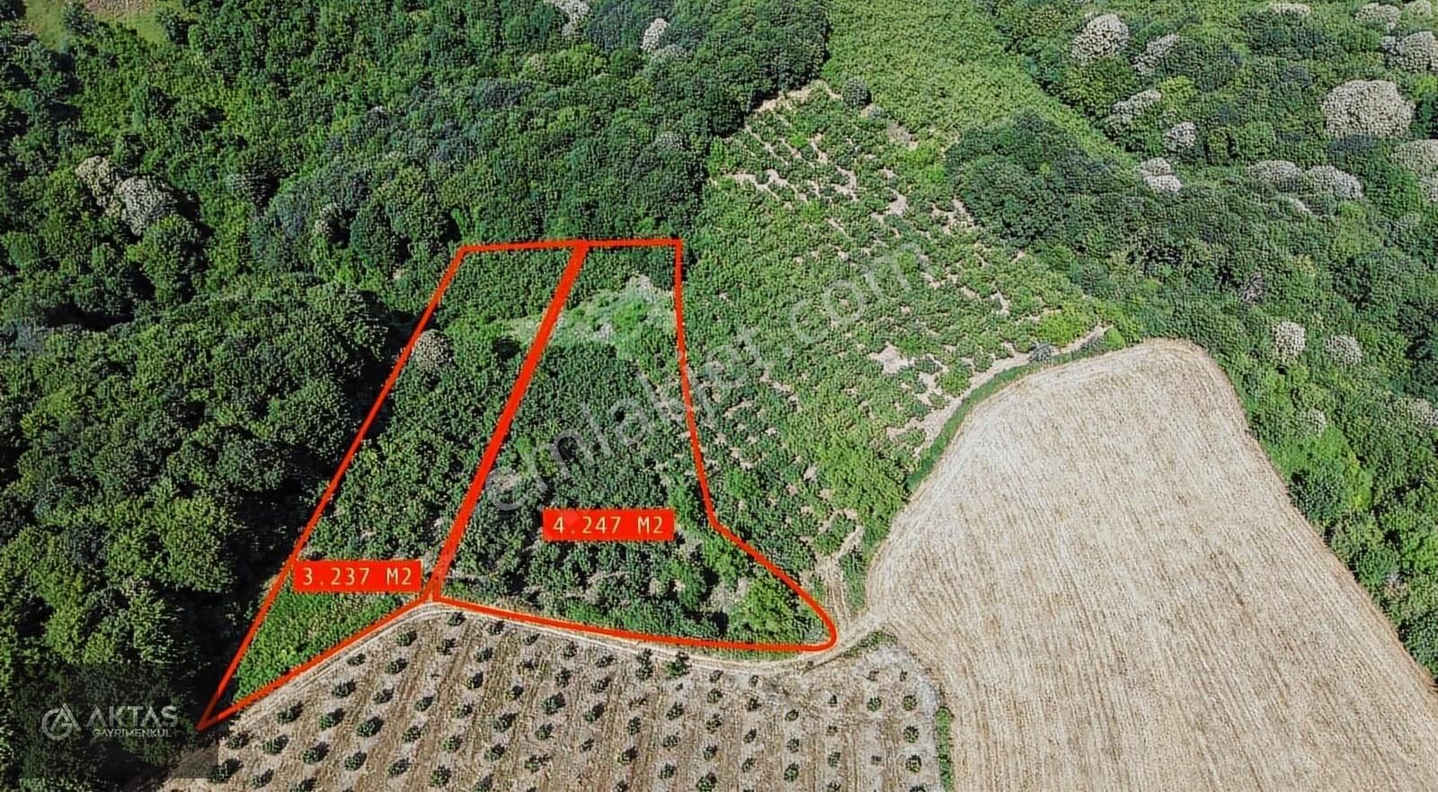 Serdivan Kızılcıklı 2 Tapu Toplam 7.485 M2 Satılık Tarla