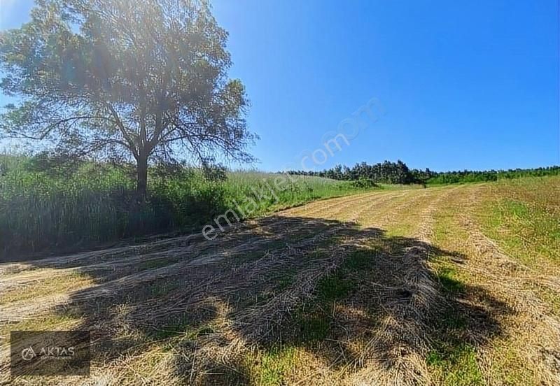 Yatırıma Uygun %5 İmarlı 2928m2 Tarla