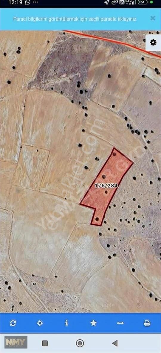 Meram Güneydere De Satılık 8300 M2 Müstakil Tarla.