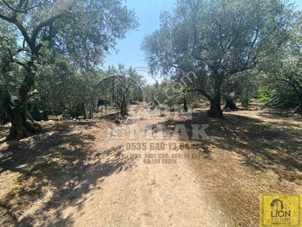 🟨⬛lıon Emlak'tan Erdek Belkıs Mahallesinde 875m² Satılık Zeytinlik⬛🟨 - Görsel 18