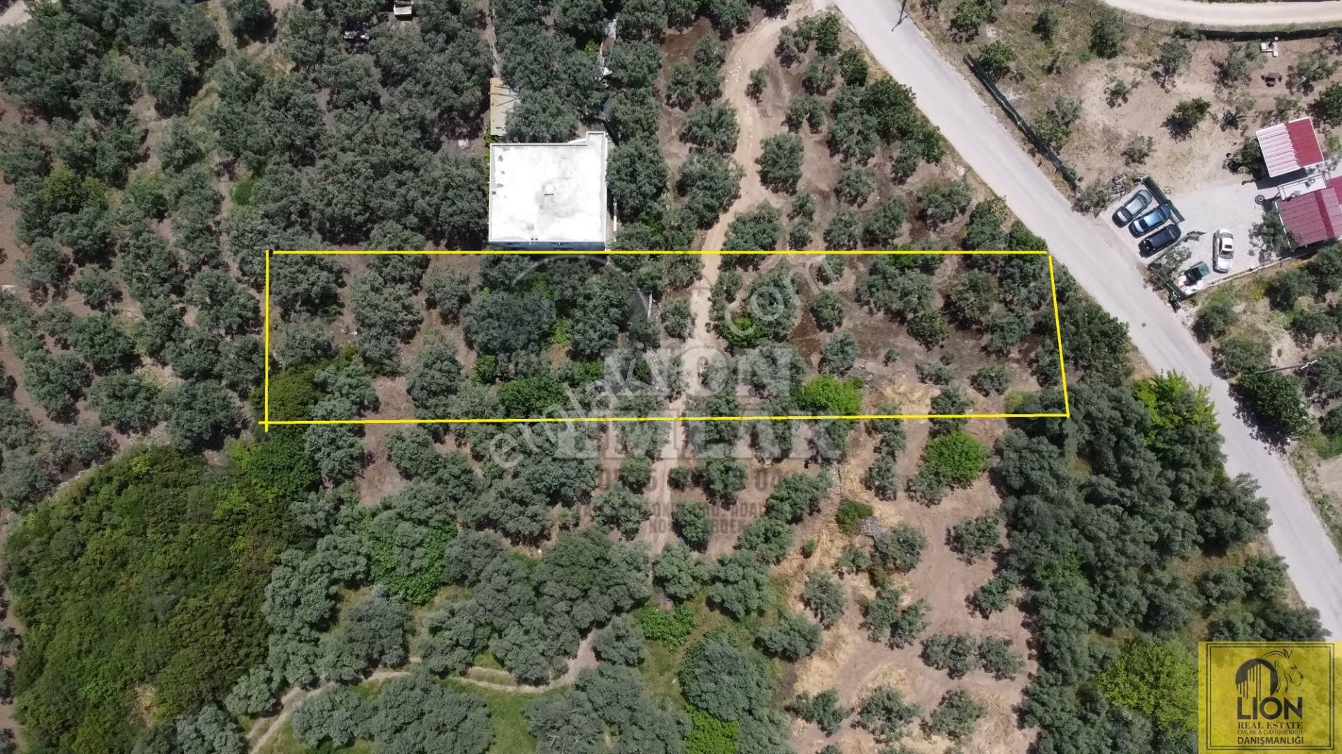 🟨⬛lıon Emlak'tan Erdek Belkıs Mahallesinde 875m² Satılık Zeytinlik⬛🟨 - Görsel 6