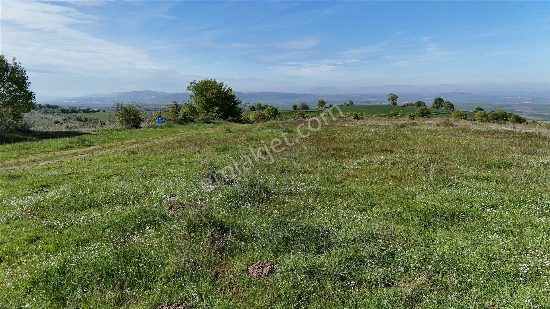 61.650 M2 Çiftlik, Bağ-bahçe, Kadastro Yola Cepheli, Göl Manzara
