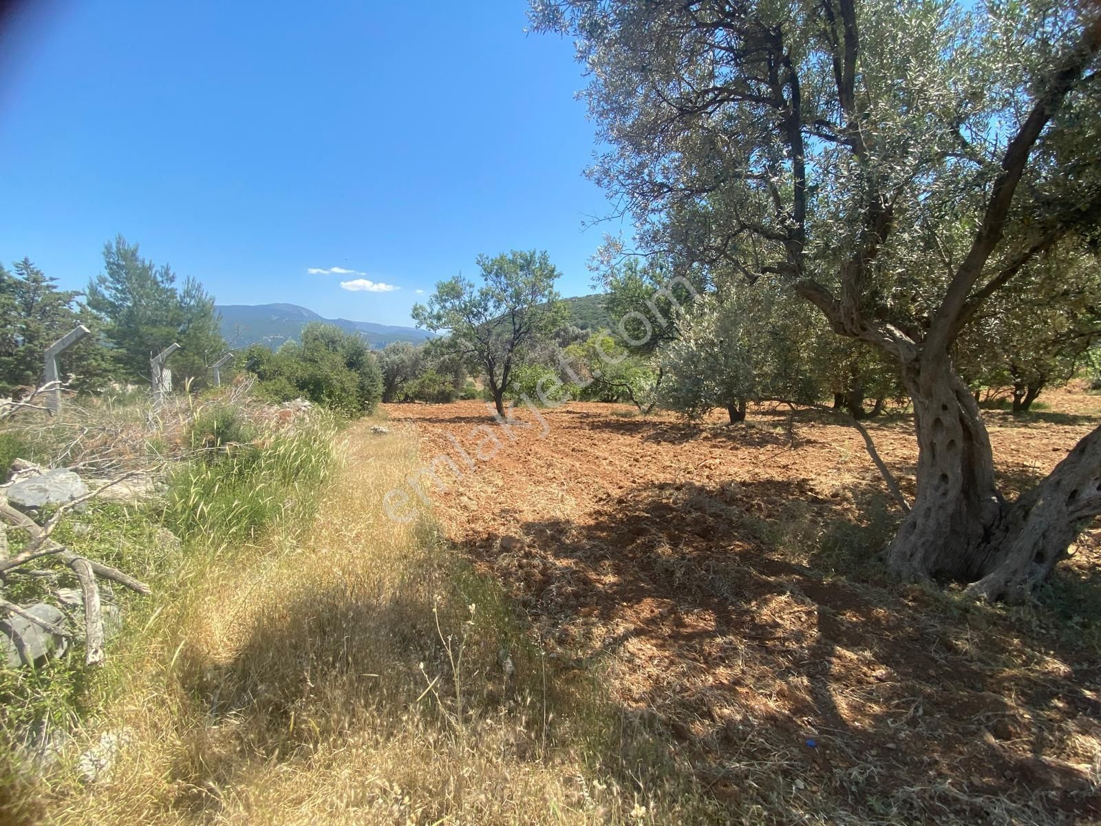 İzmir Bornovada Satılık Arsa - Görsel 23