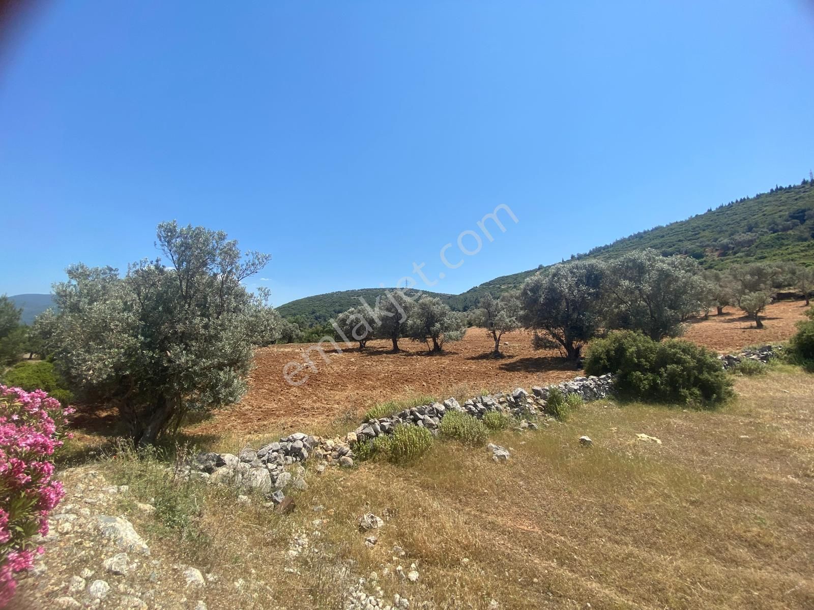 İzmir Bornovada Satılık Arsa - Görsel 3