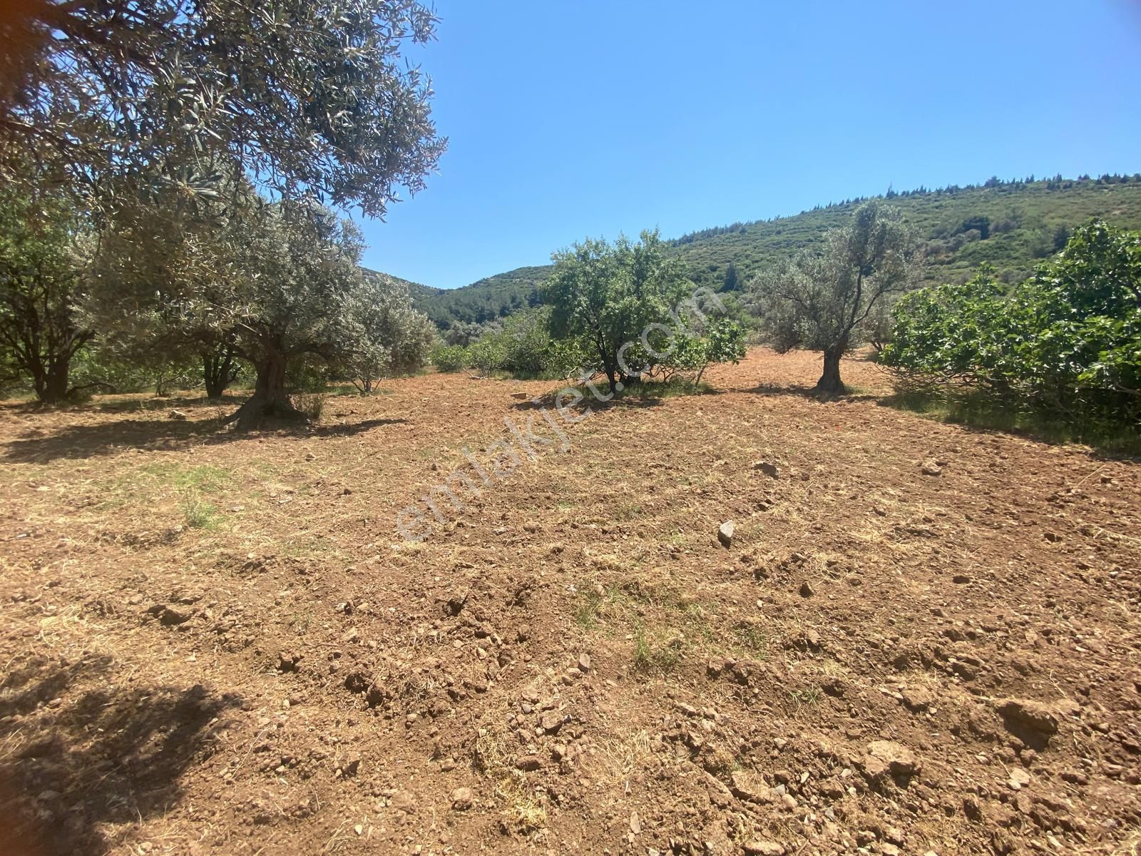 İzmir Bornovada Satılık Arsa - Görsel 21