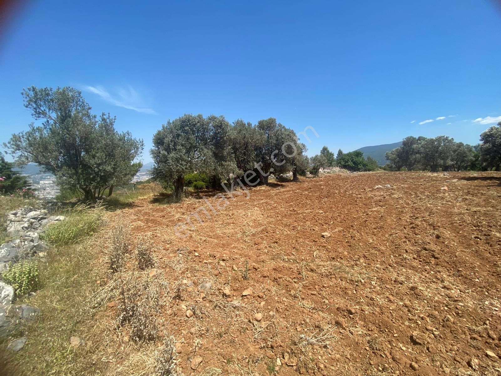 İzmir Bornovada Satılık Arsa - Görsel 5