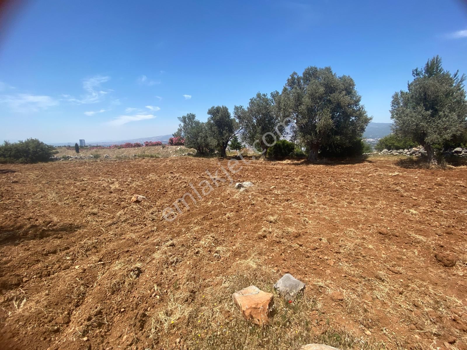 İzmir Bornovada Satılık Arsa - Görsel 11