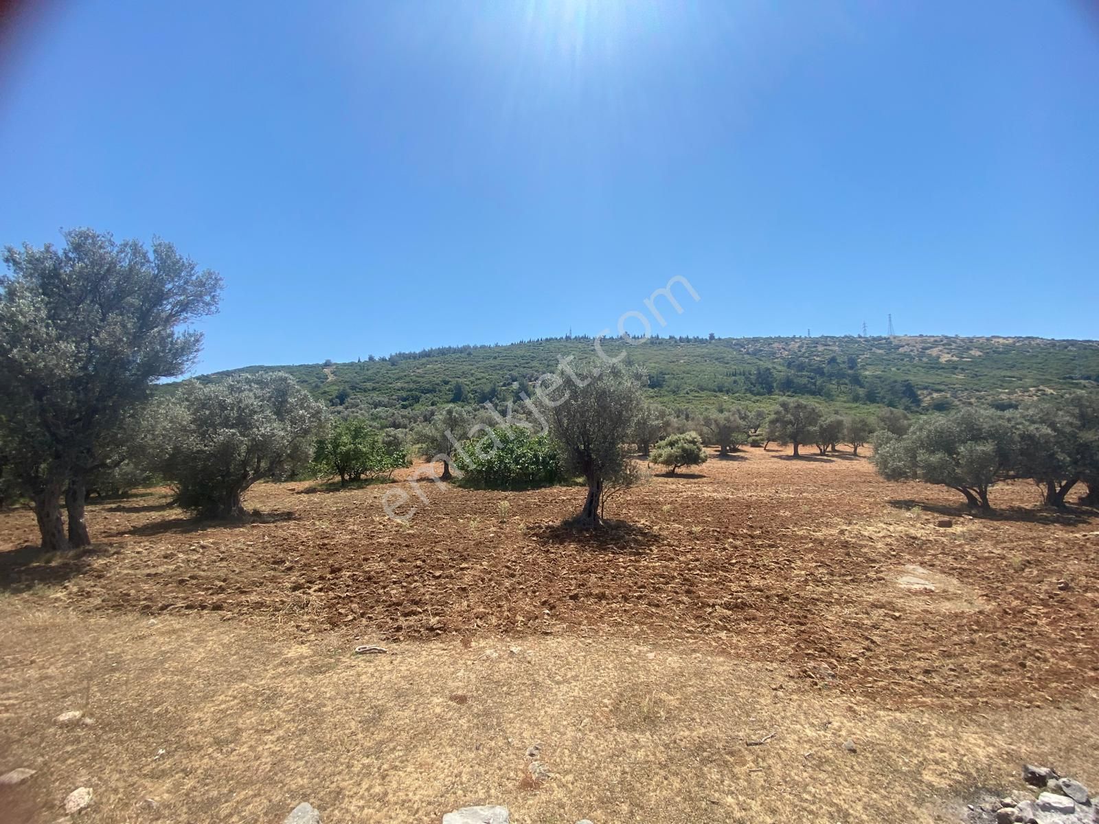 İzmir Bornovada Satılık Arsa - Görsel 25