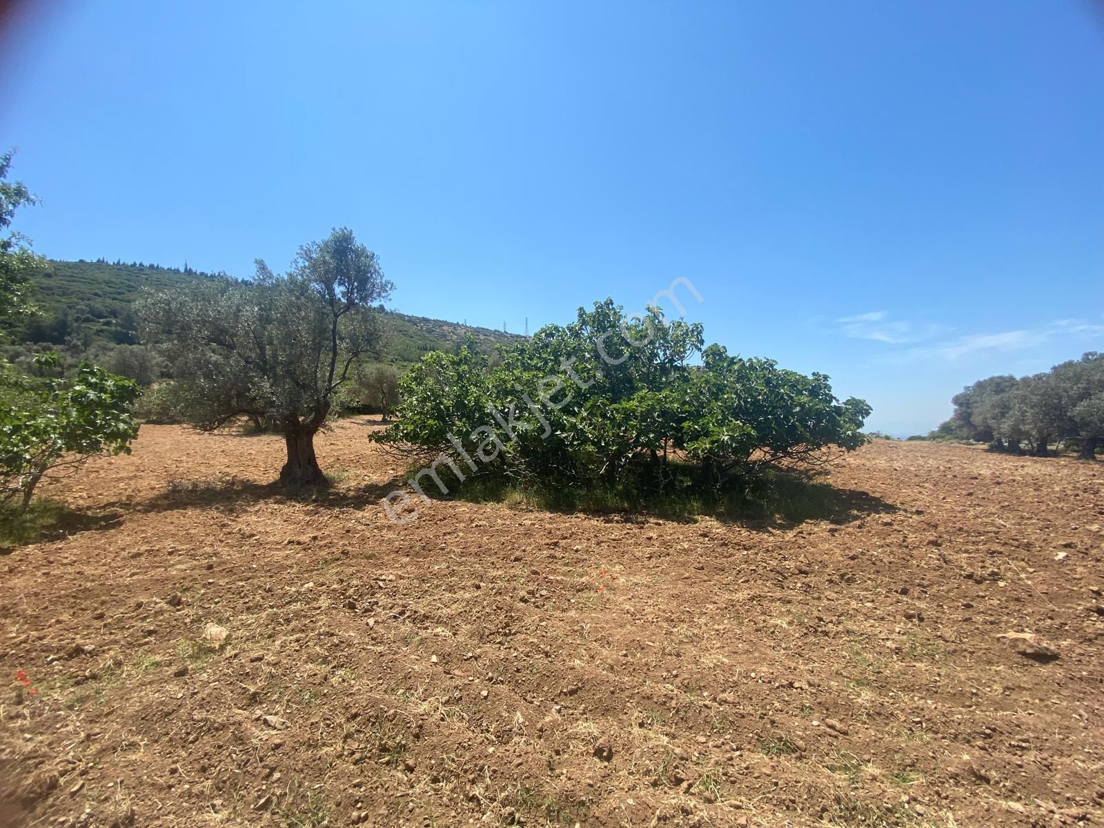 İzmir Bornovada Satılık Arsa - Görsel 18