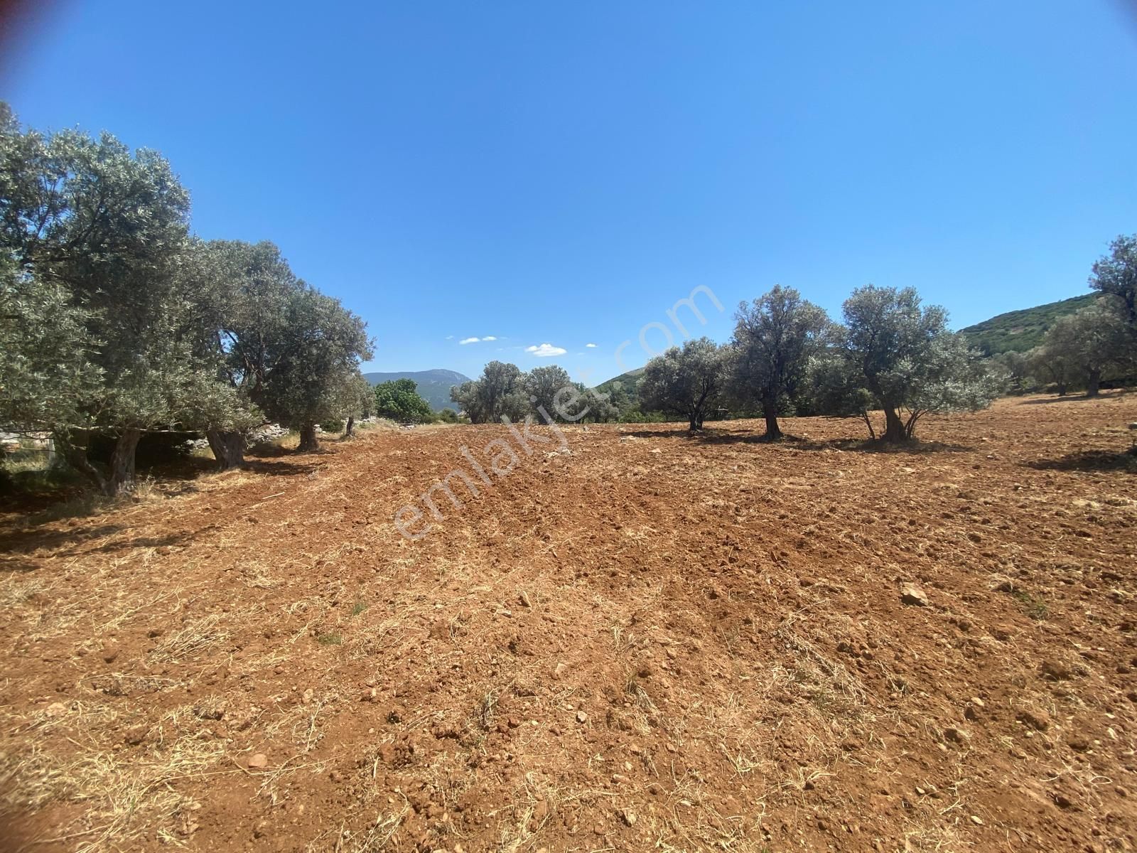 İzmir Bornovada Satılık Arsa - Görsel 7