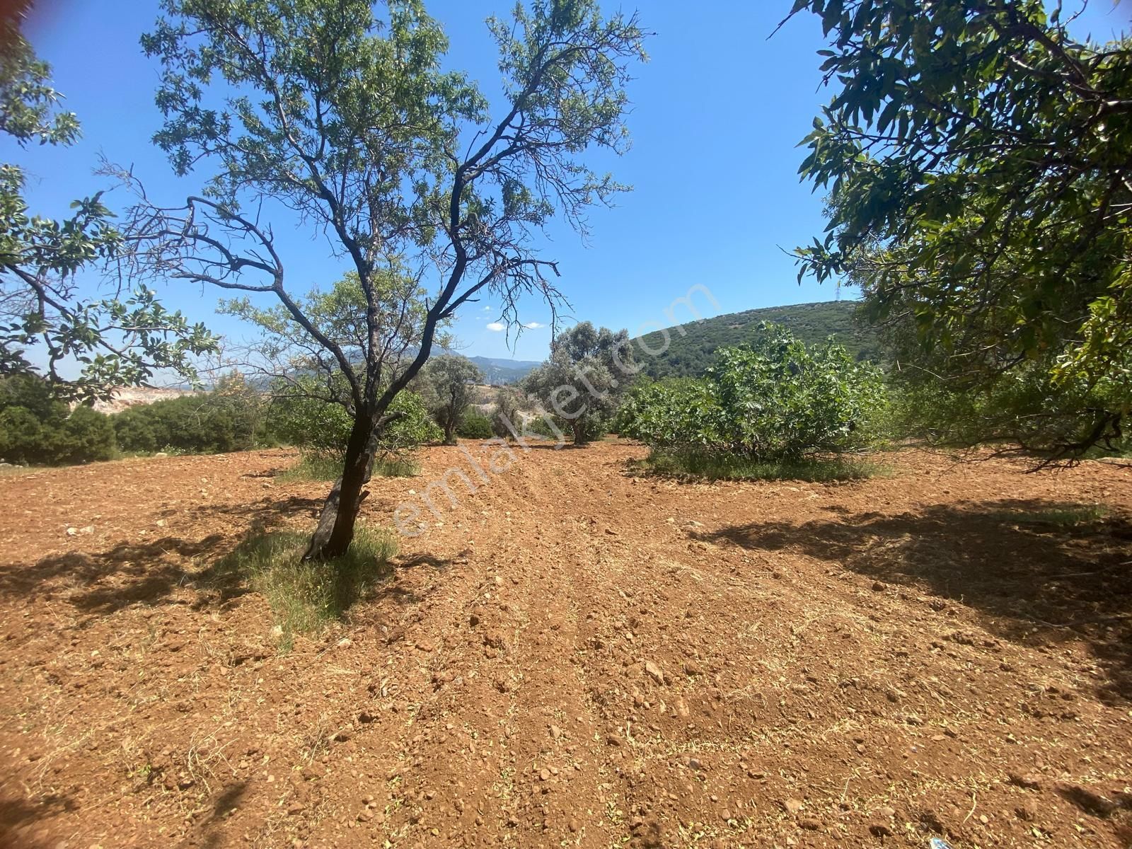İzmir Bornovada Satılık Arsa - Görsel 15