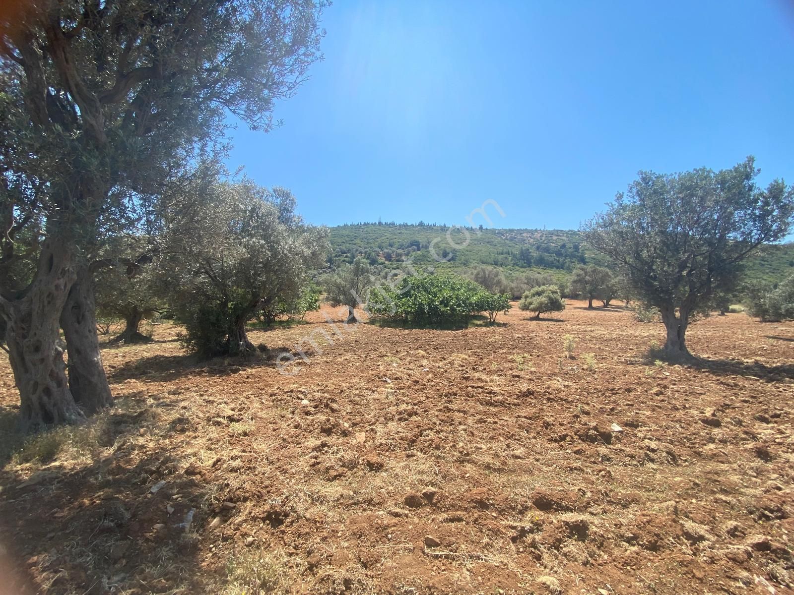 İzmir Bornovada Satılık Arsa - Görsel 26