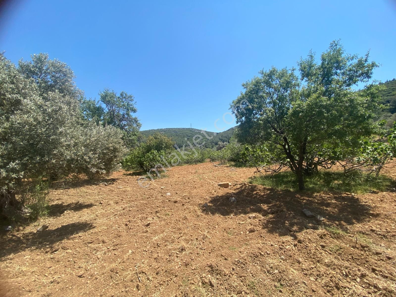 İzmir Bornovada Satılık Arsa - Görsel 20