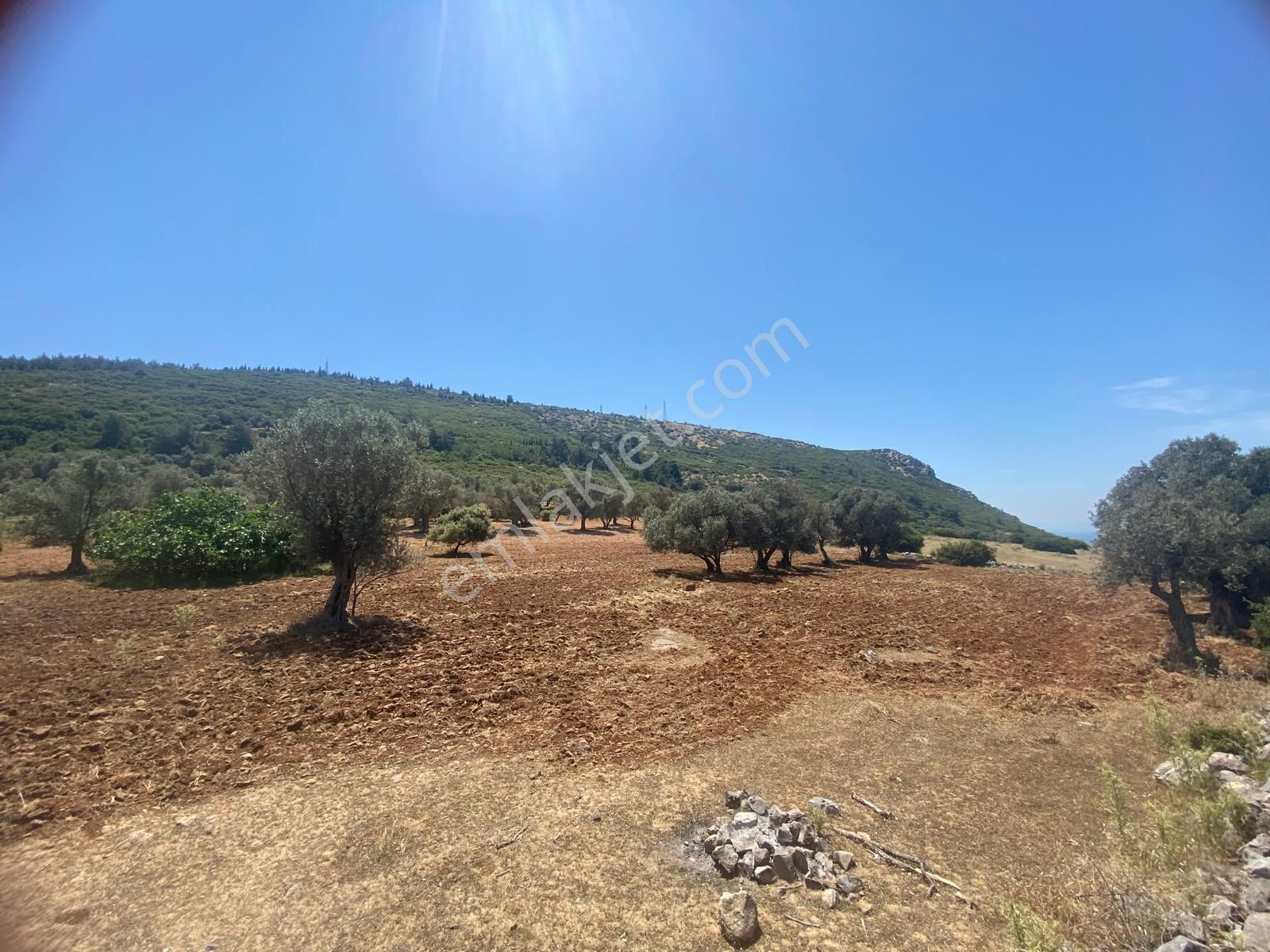 İzmir Bornovada Satılık Arsa - Görsel 19