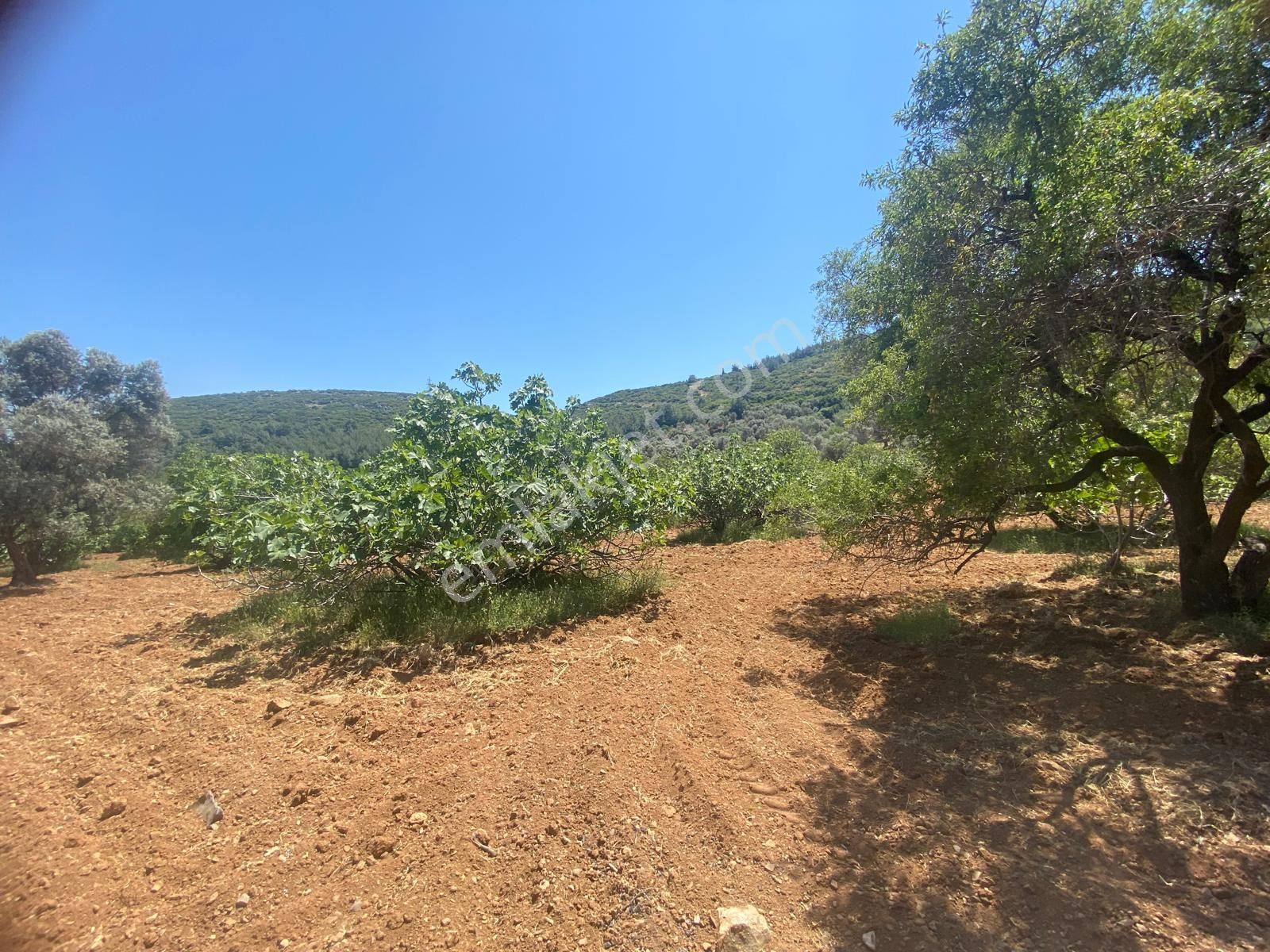 İzmir Bornovada Satılık Arsa - Görsel 17
