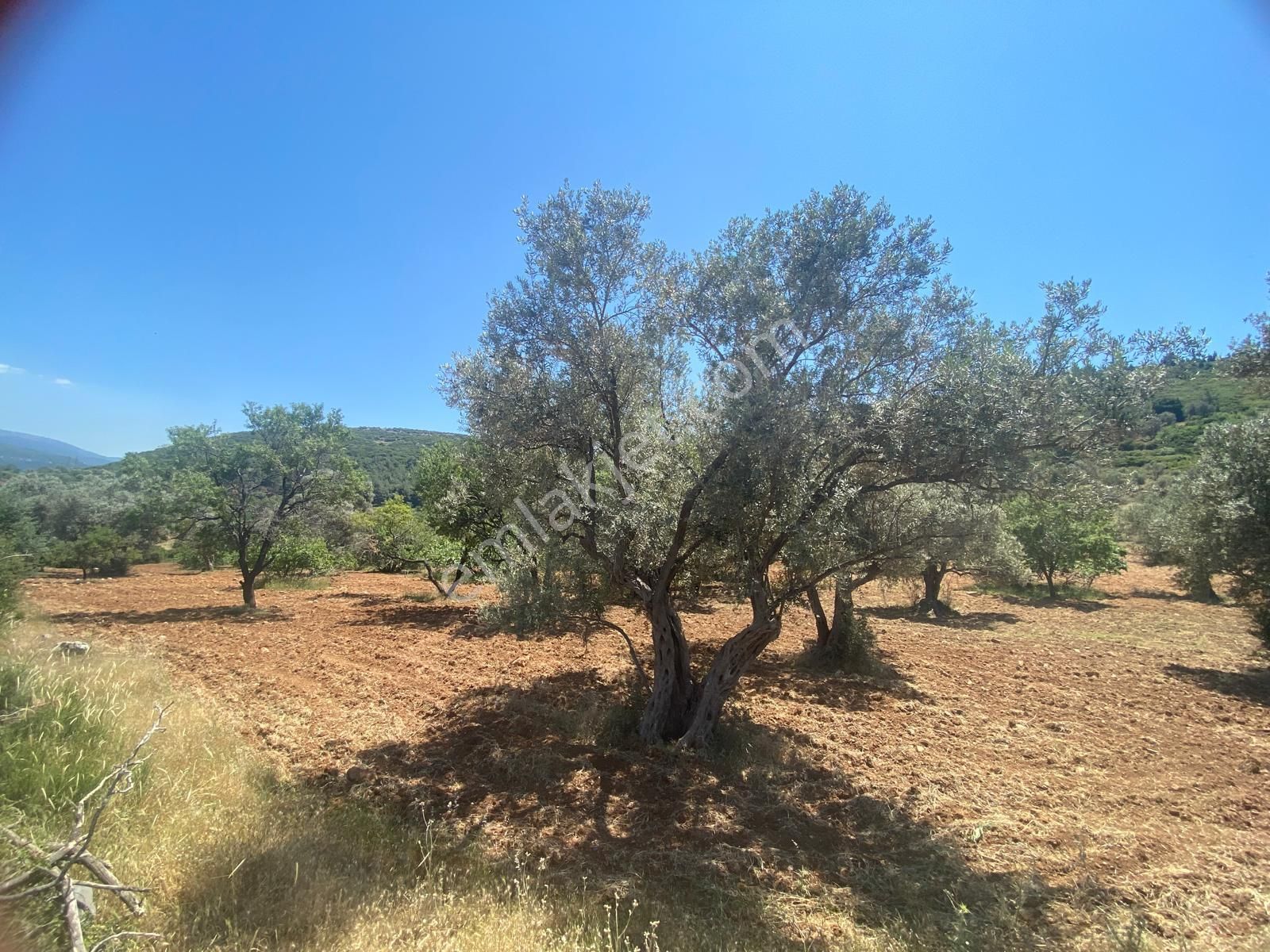 İzmir Bornovada Satılık Arsa - Görsel 29