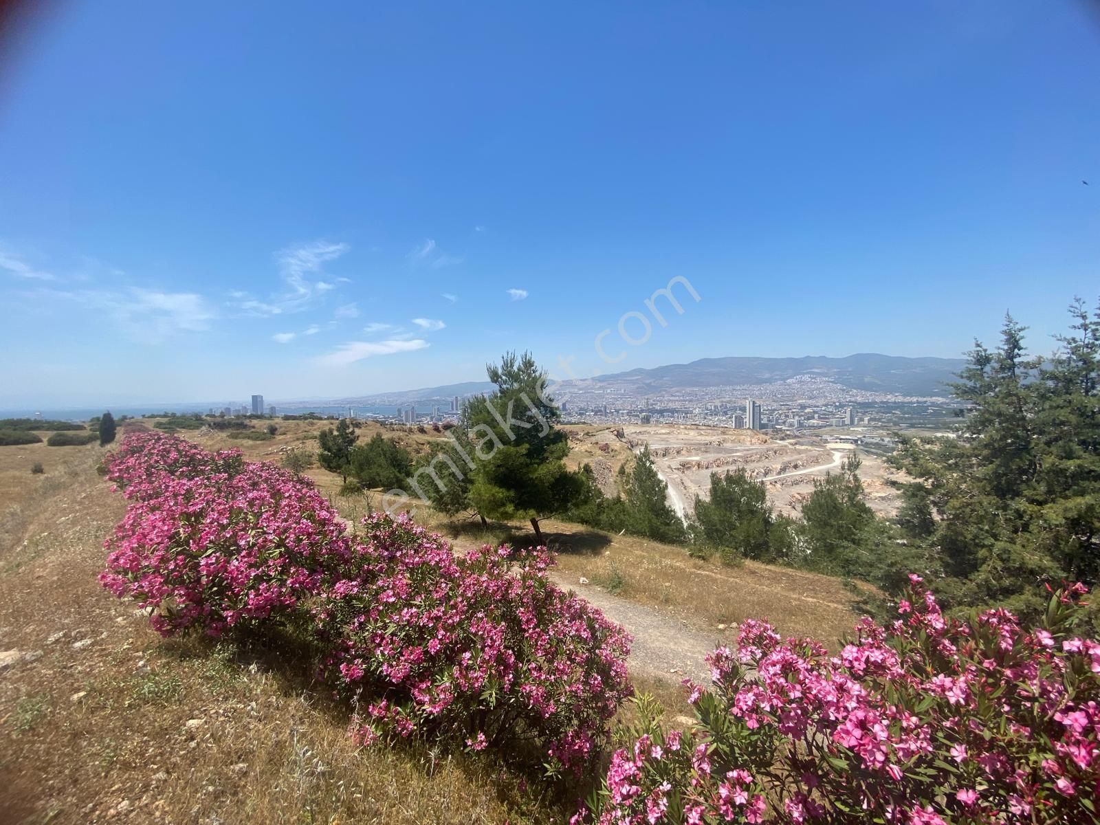 İzmir Bornovada Satılık Arsa - Görsel 8